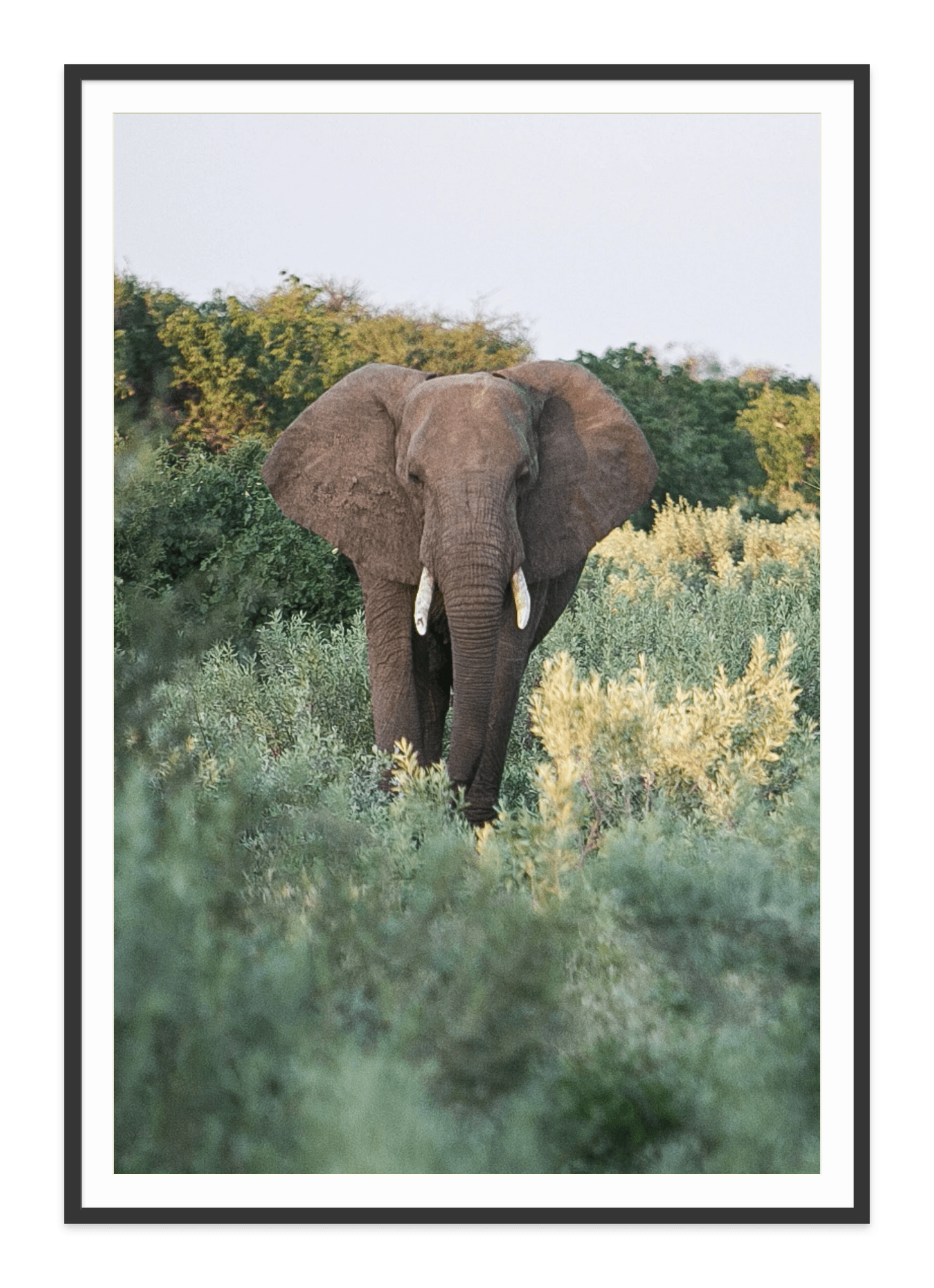  - Jules Frazier Fine Art Photographs