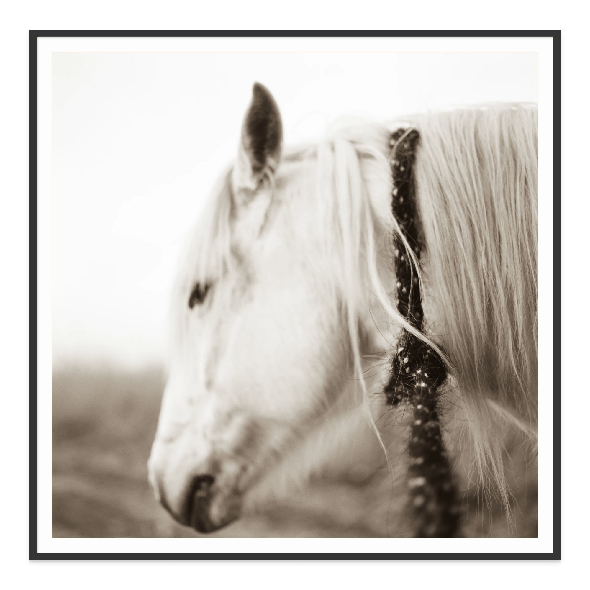  - Jules Frazier Fine Art Photographs