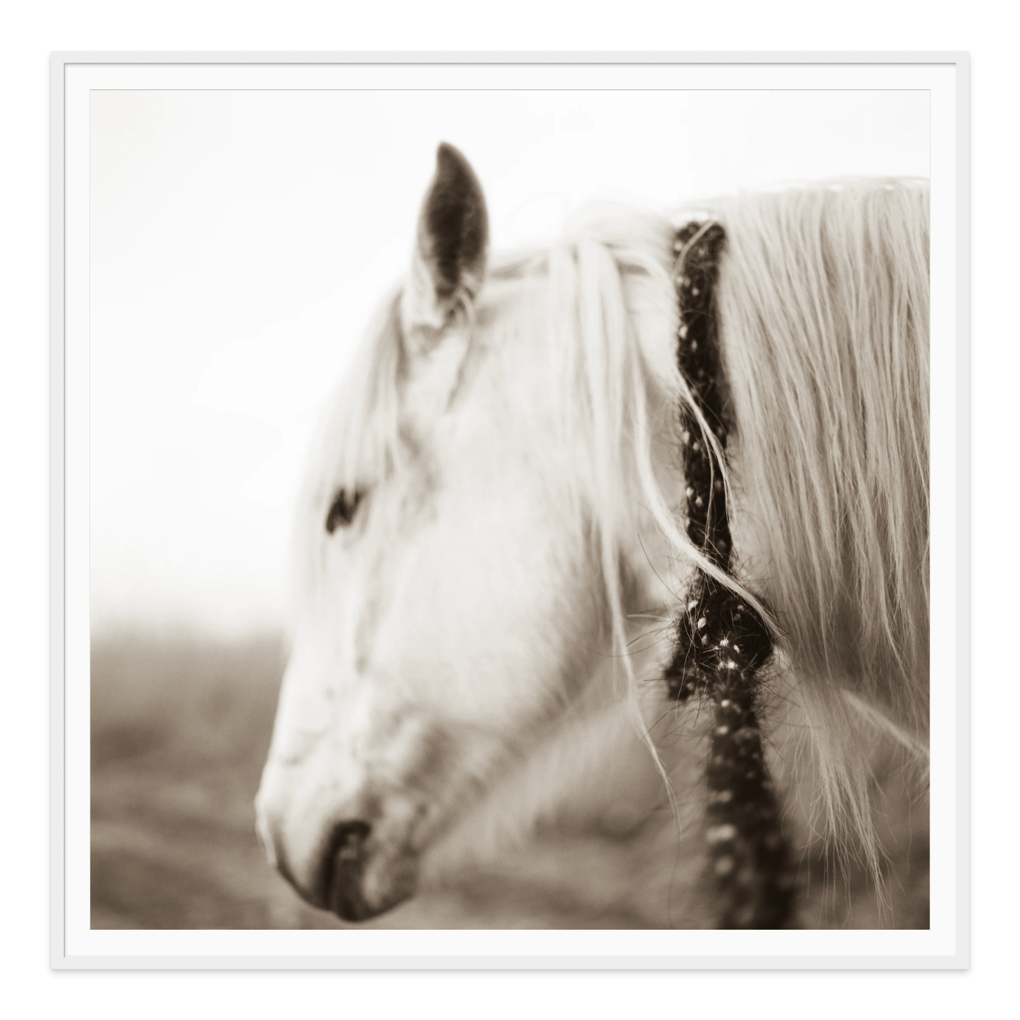  - Jules Frazier Fine Art Photographs