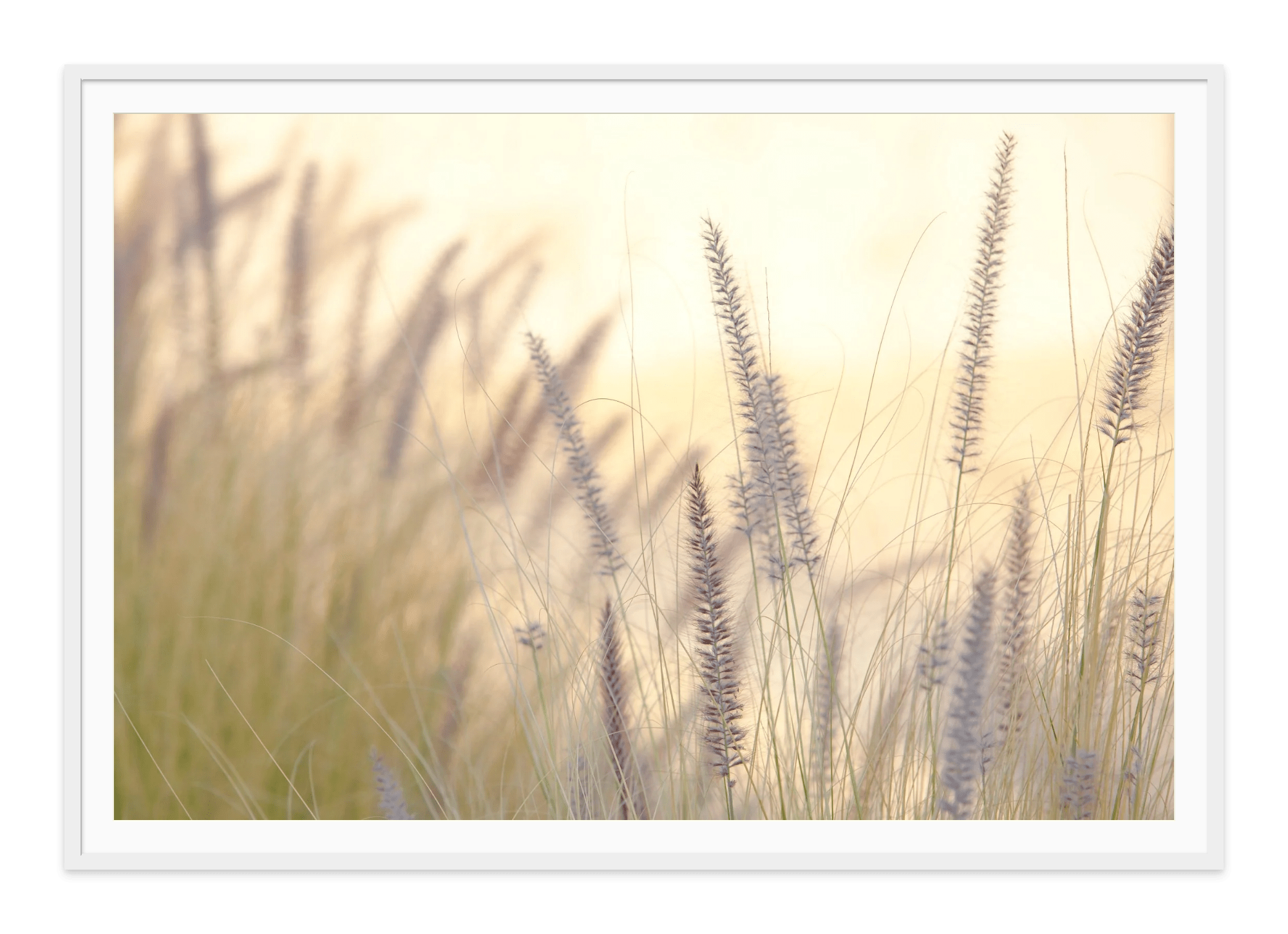  - Jules Frazier Fine Art Photographs