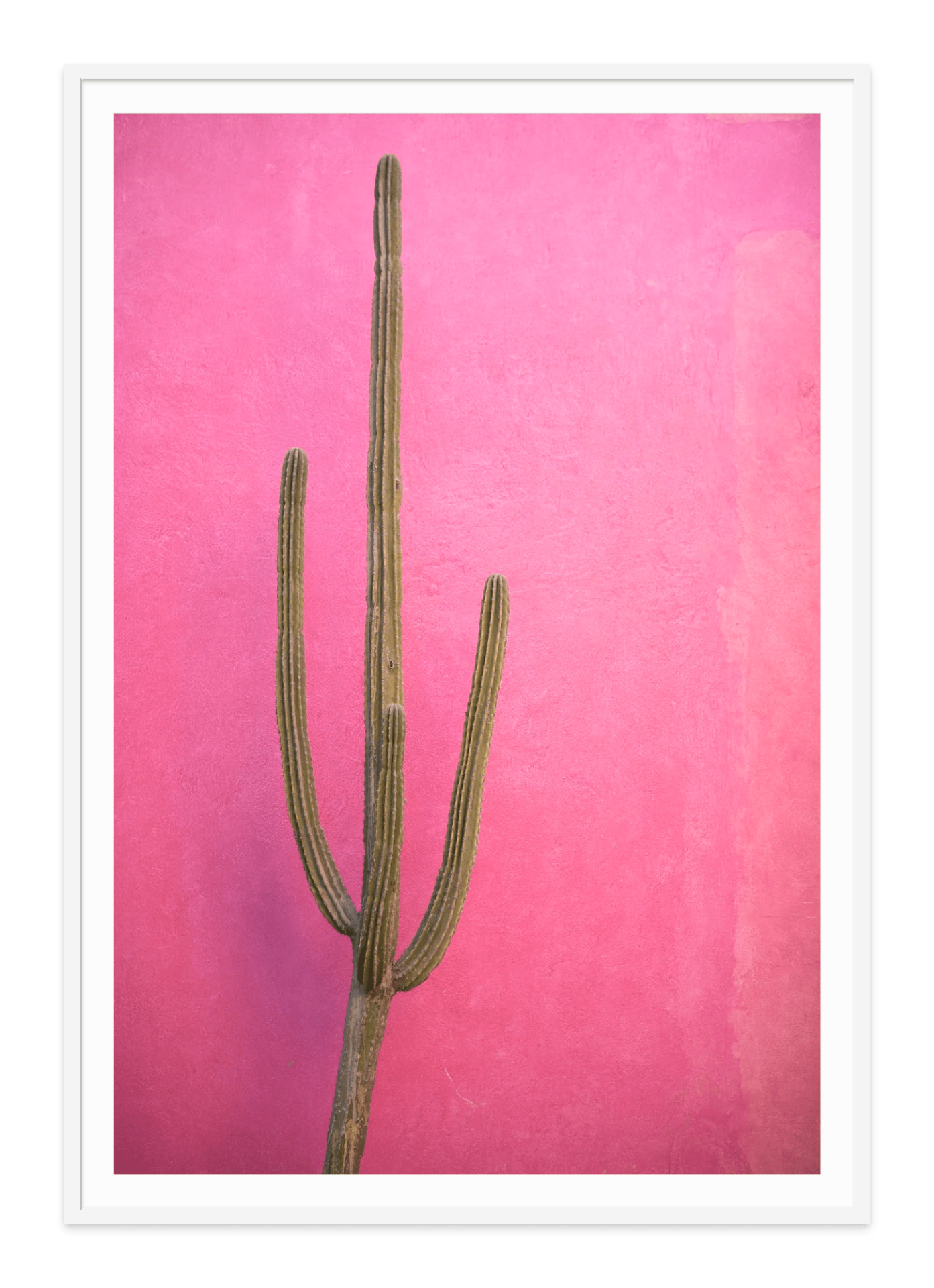 white frame with cactus on pink wall