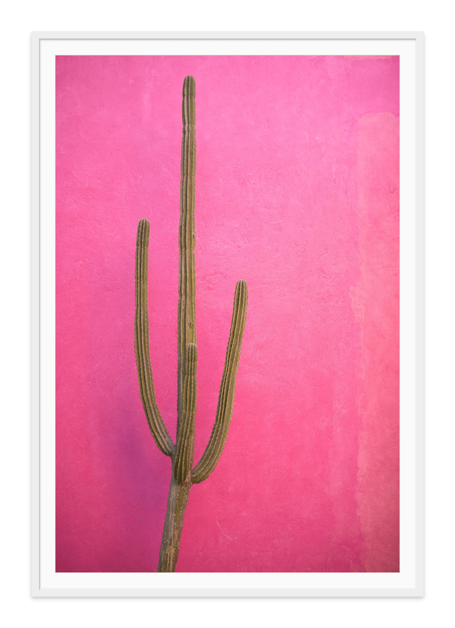  - Jules Frazier Fine Art Photographs