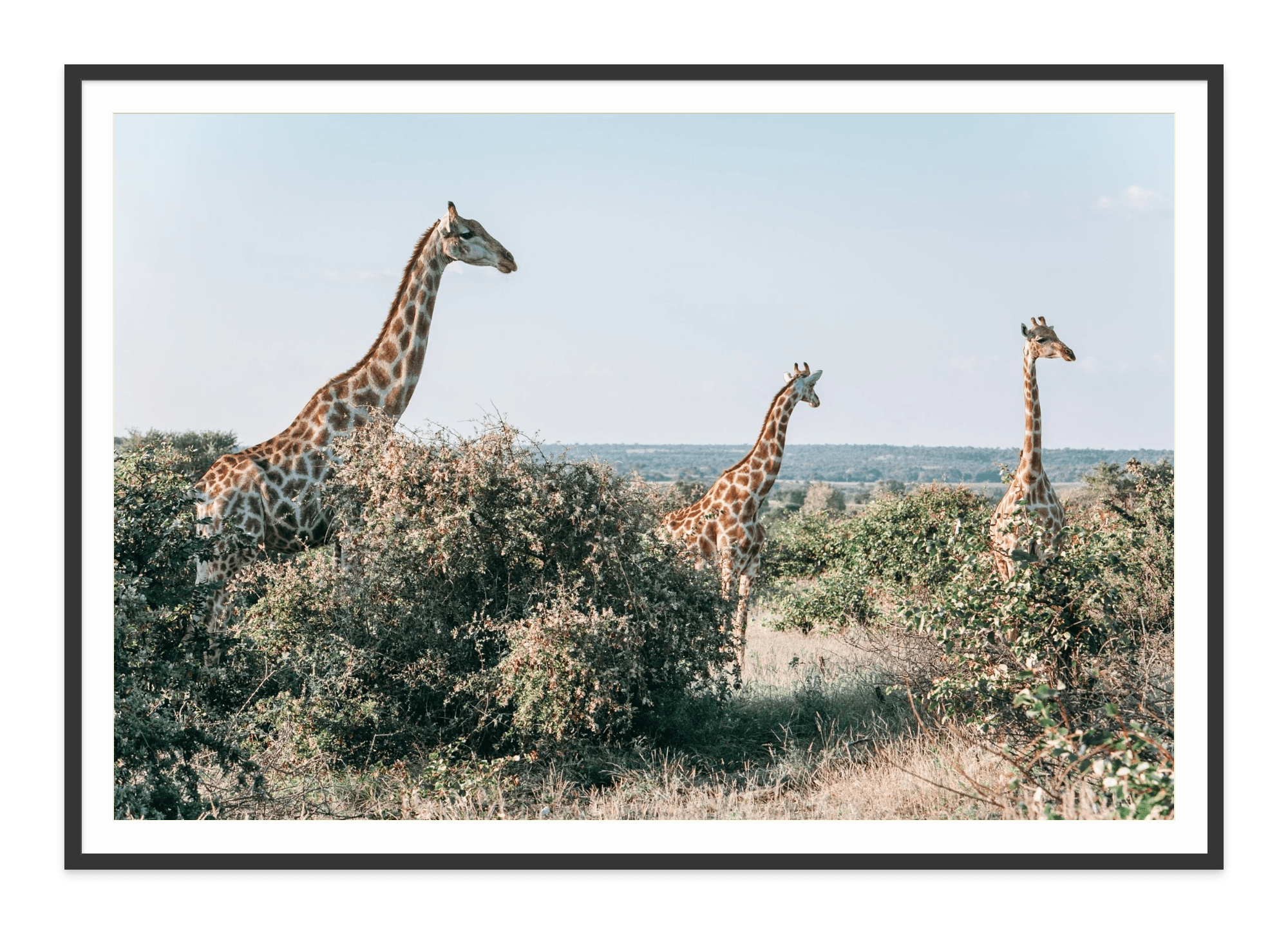  - Jules Frazier Fine Art Photographs