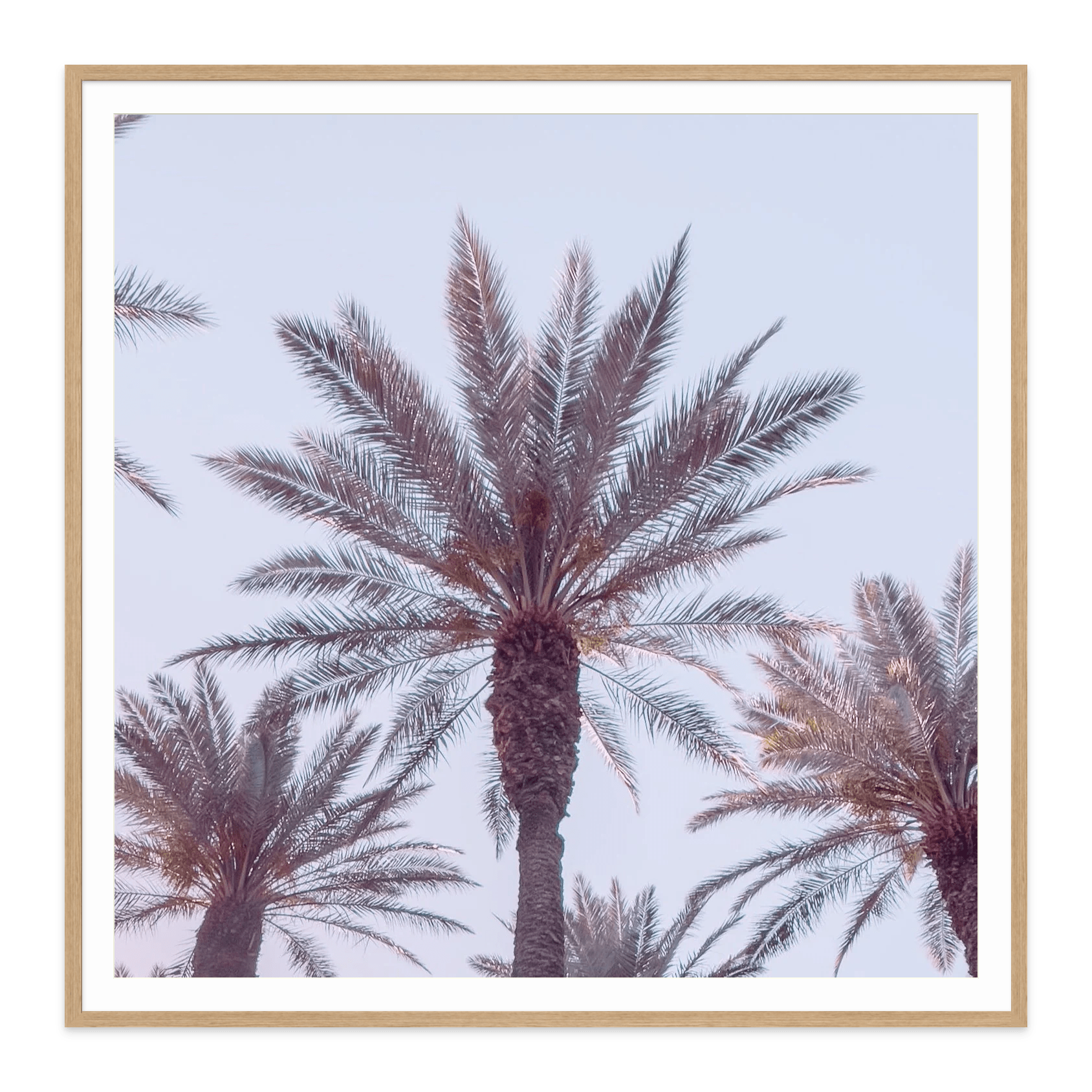  - Jules Frazier Fine Art Photographs