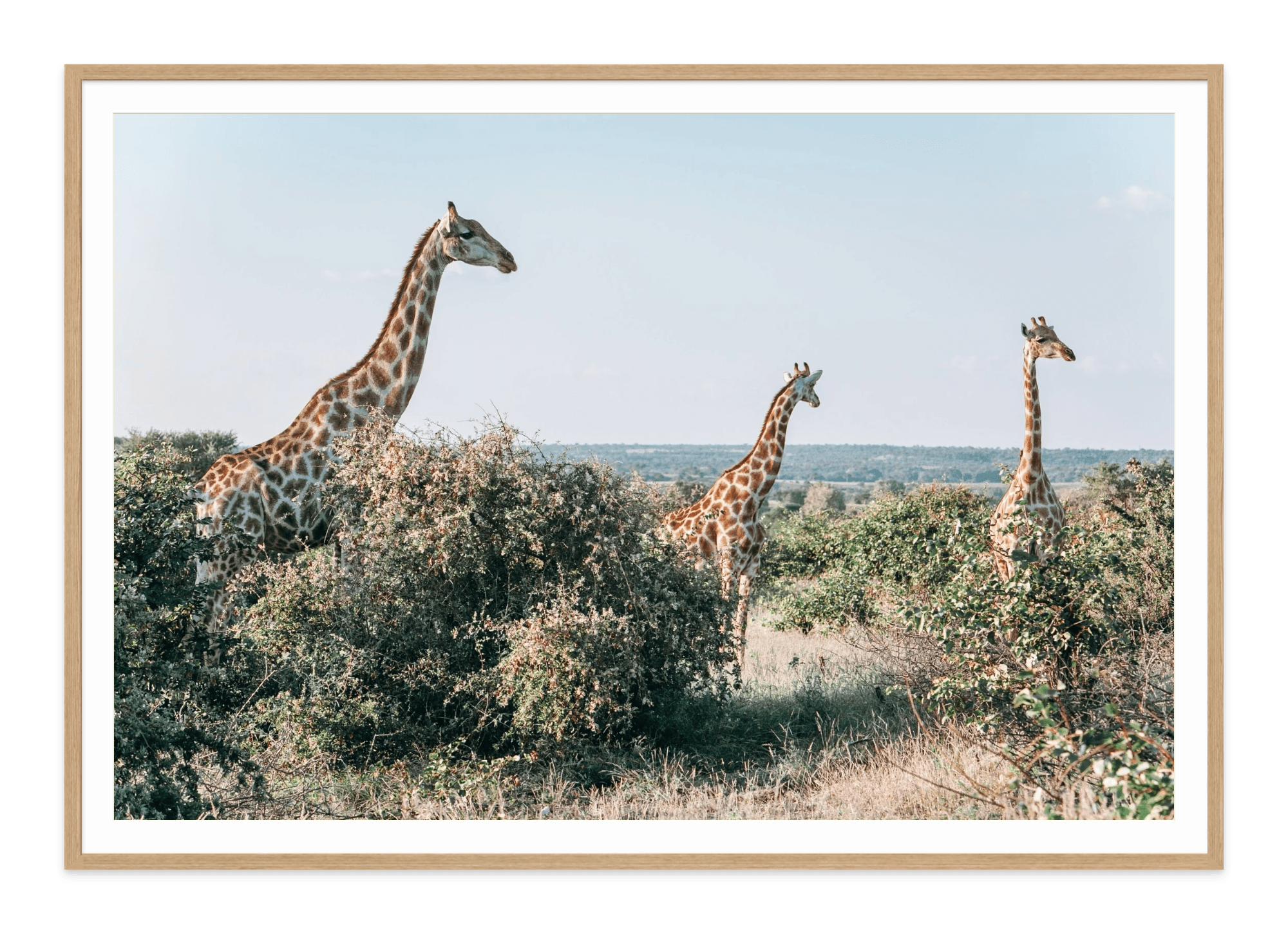 - Jules Frazier Fine Art Photographs
