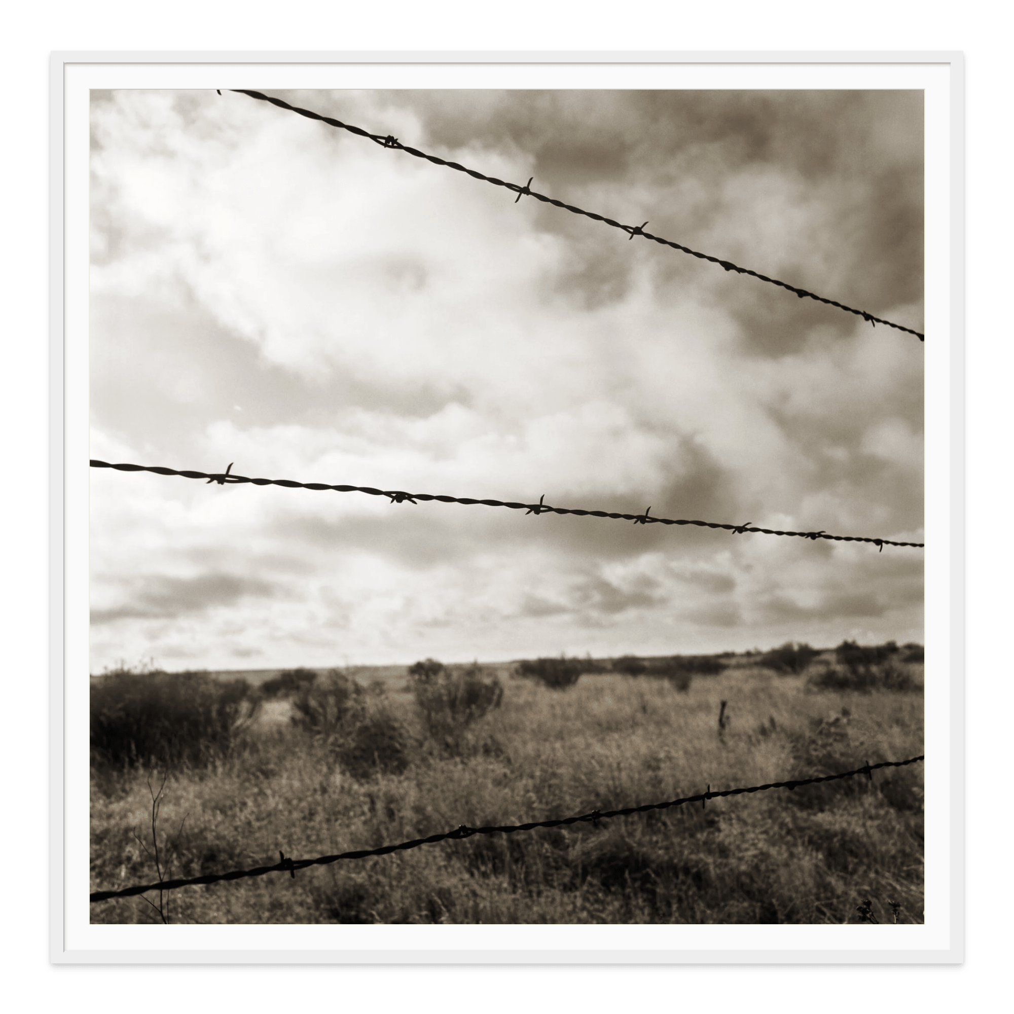  - Jules Frazier Fine Art Photographs