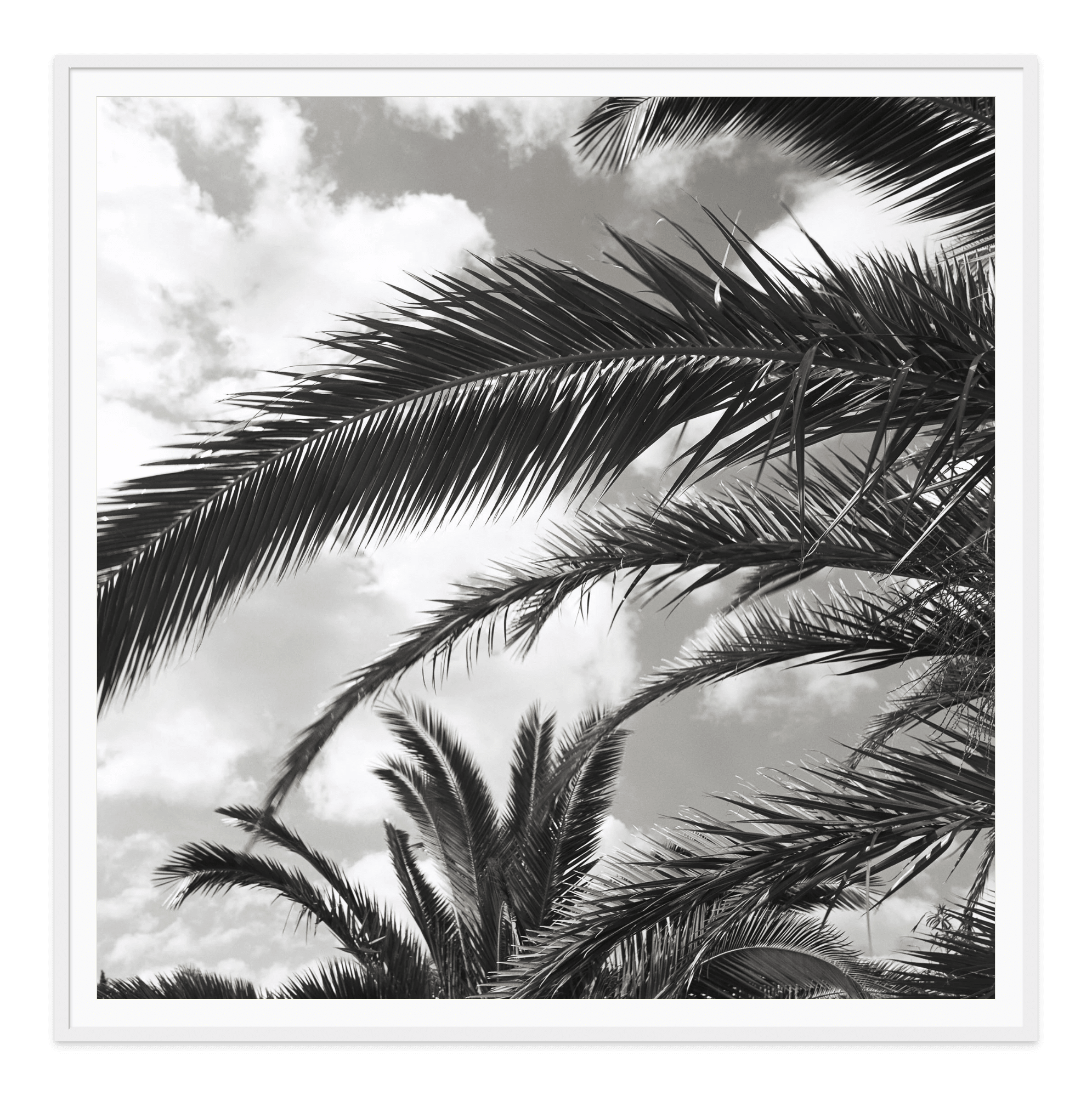  - Jules Frazier Fine Art Photographs