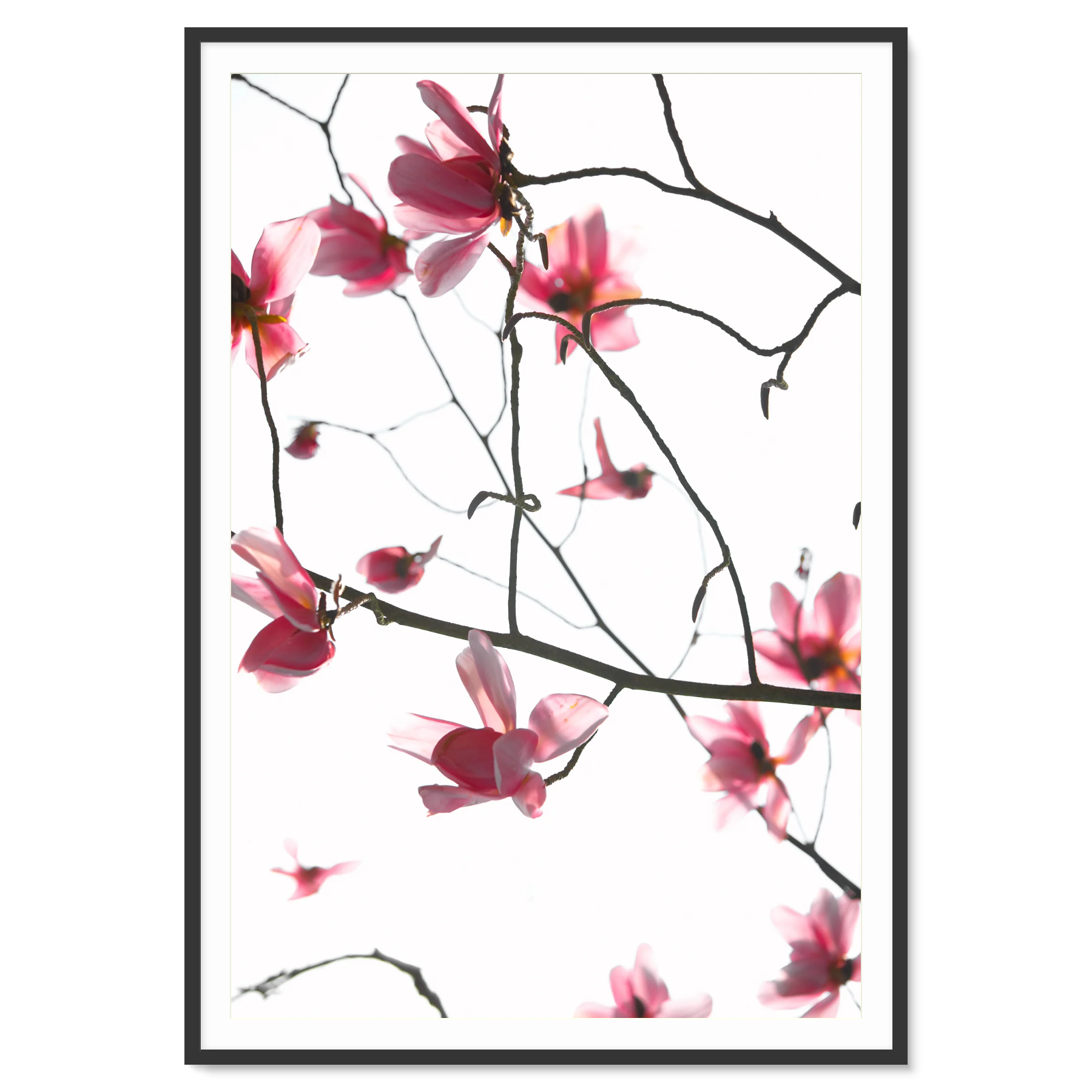 Image rendered by ArtFlows