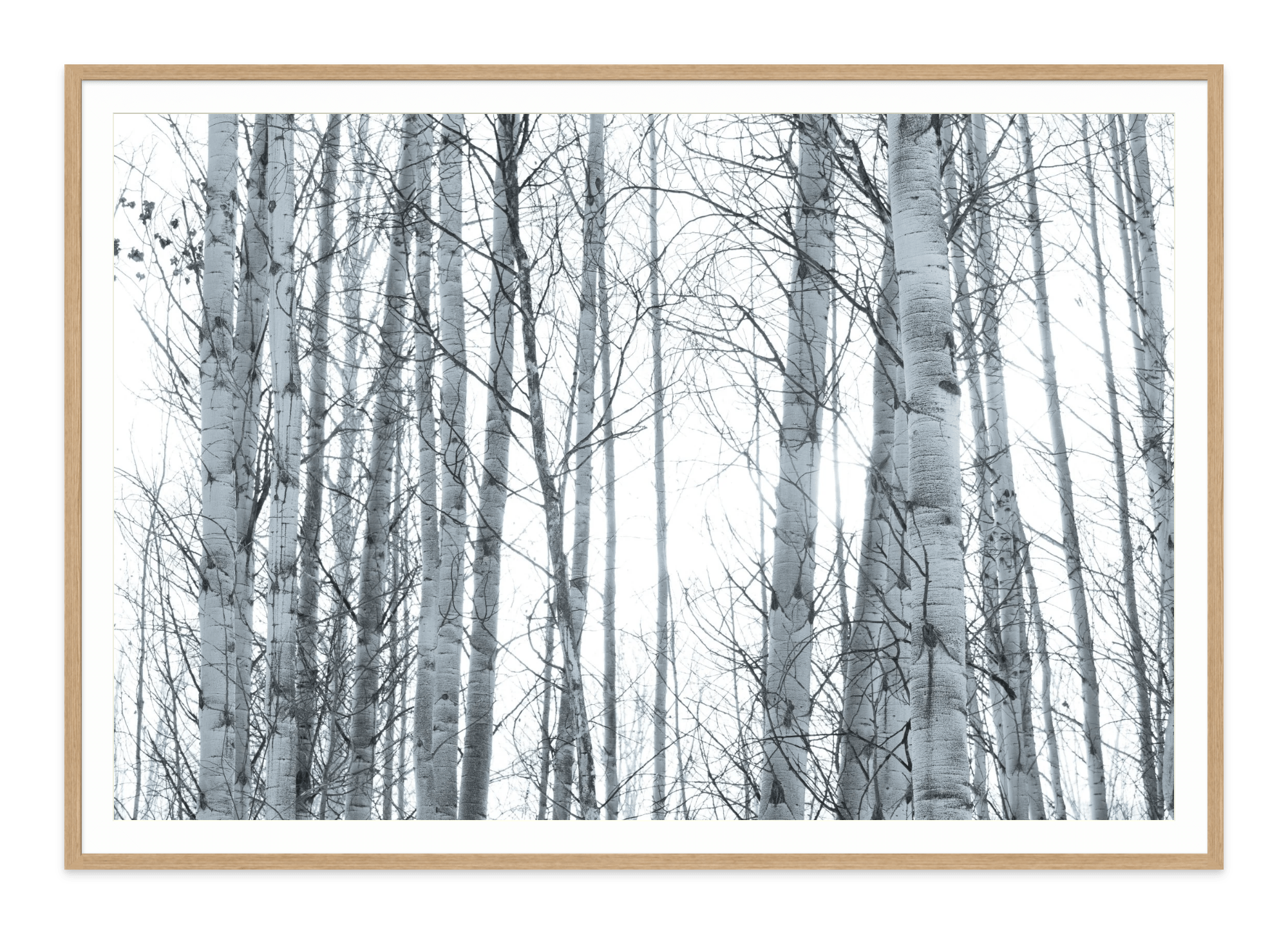  - Jules Frazier Fine Art Photographs