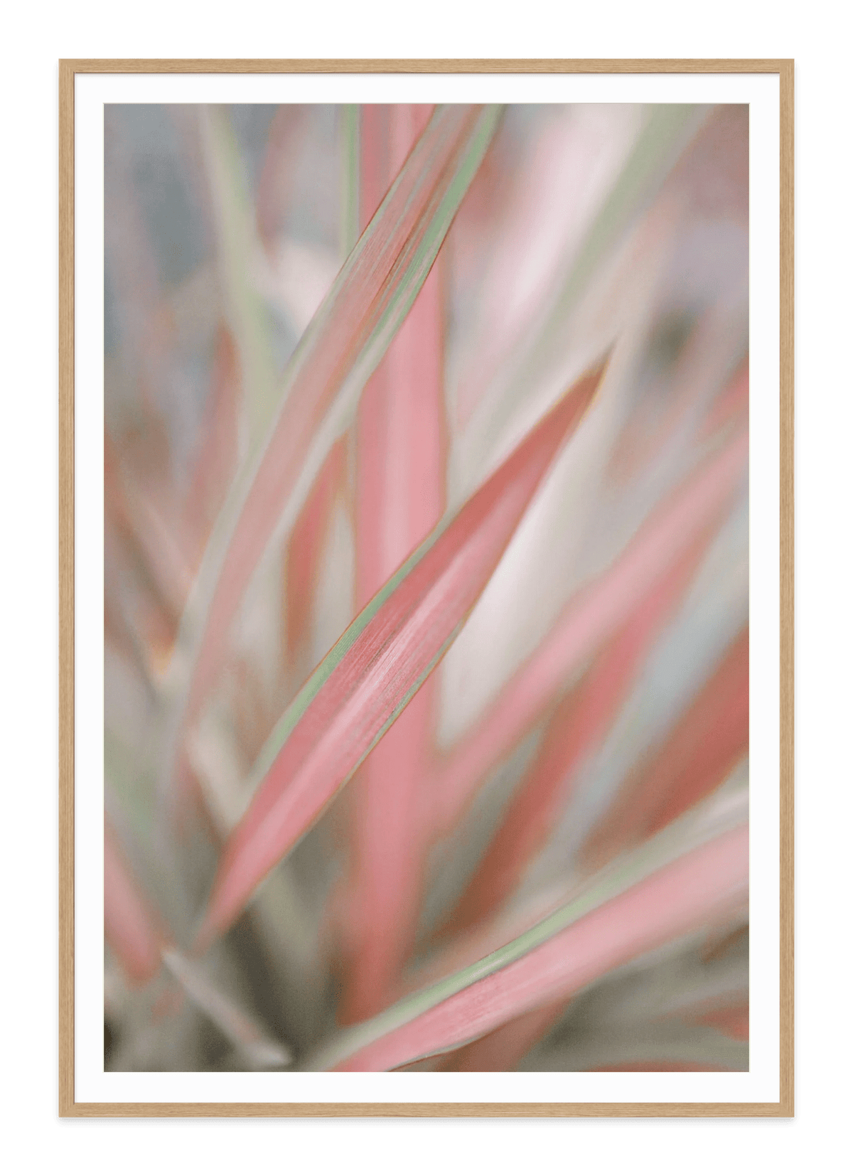  - Jules Frazier Fine Art Photographs