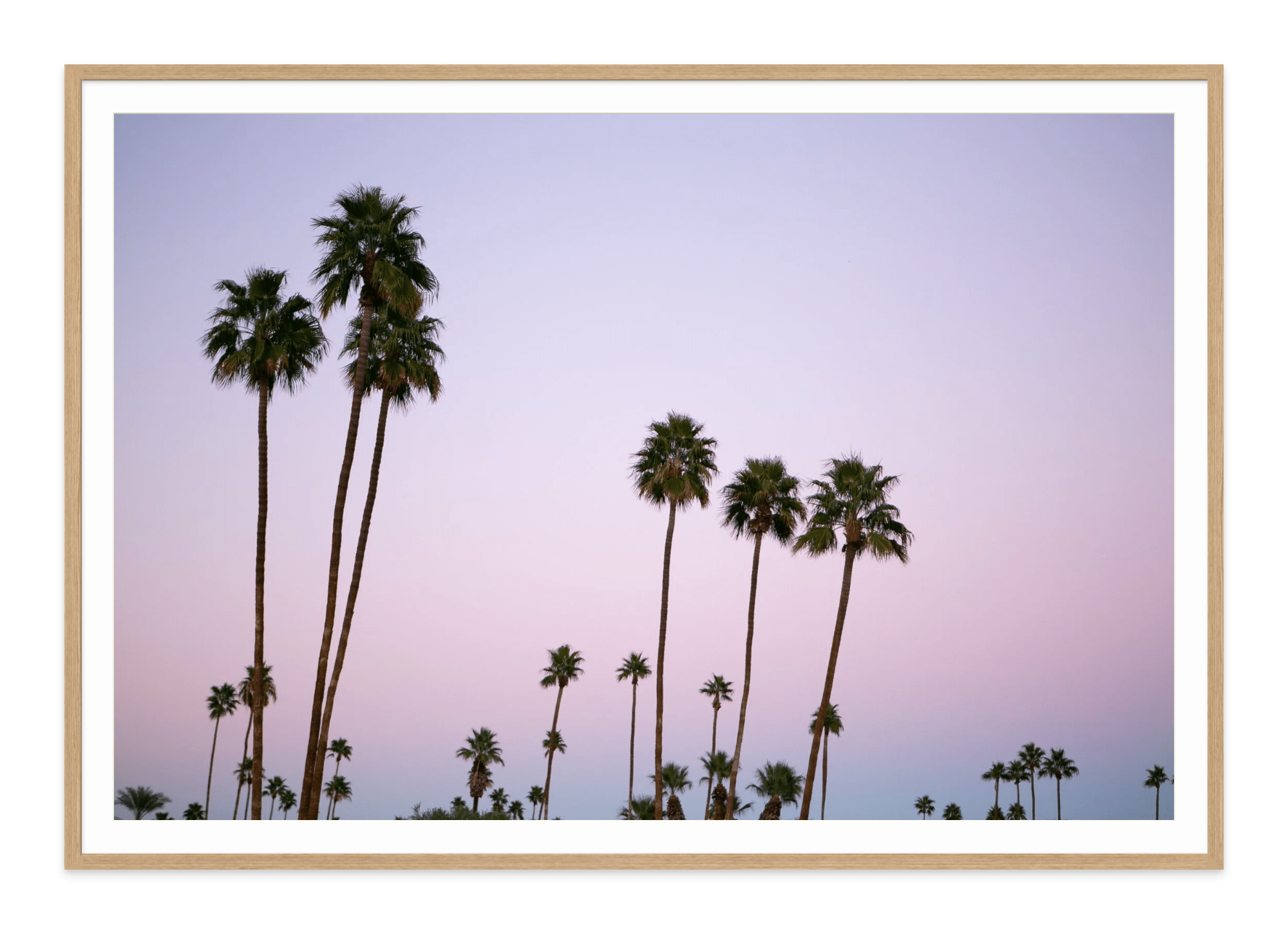  - Jules Frazier Fine Art Photographs