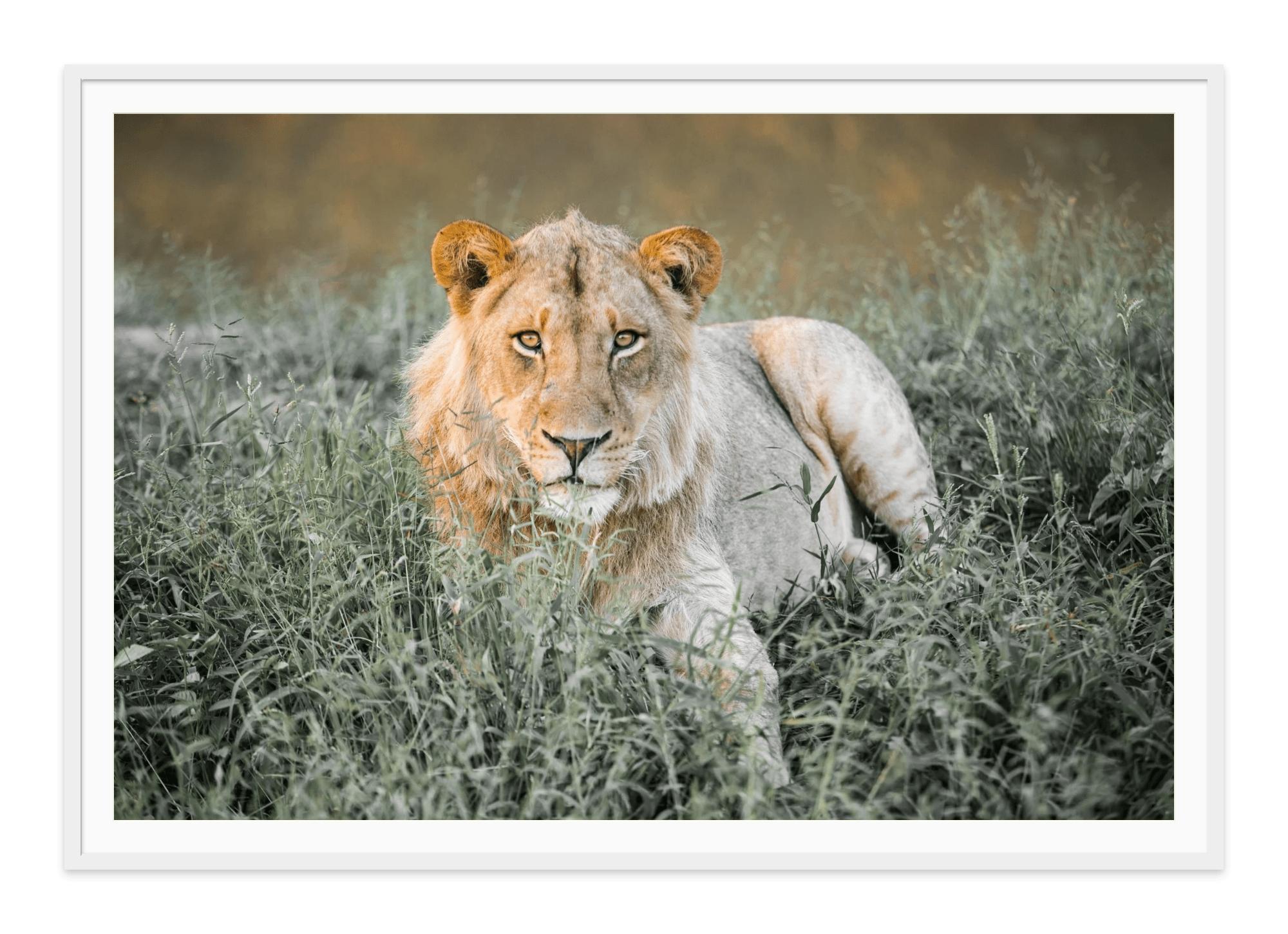  - Jules Frazier Fine Art Photographs