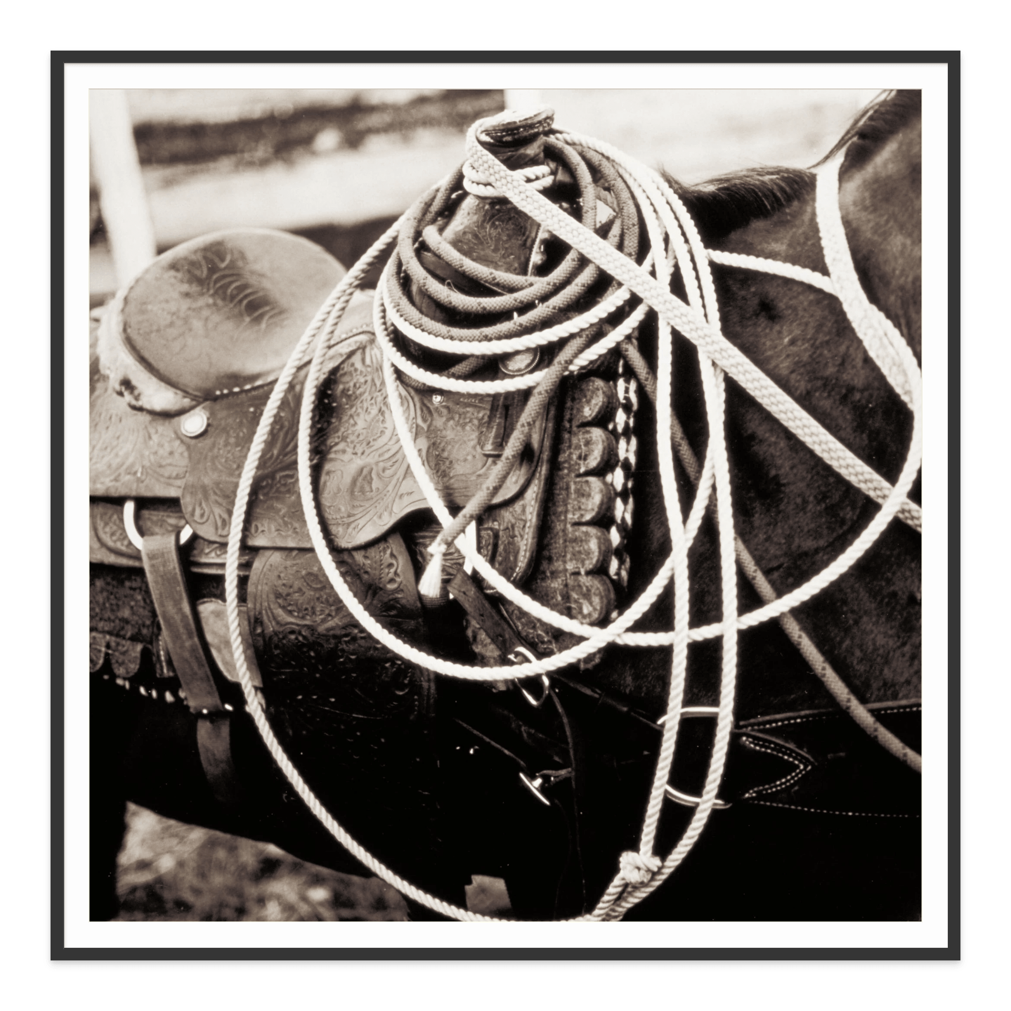  - Jules Frazier Fine Art Photographs