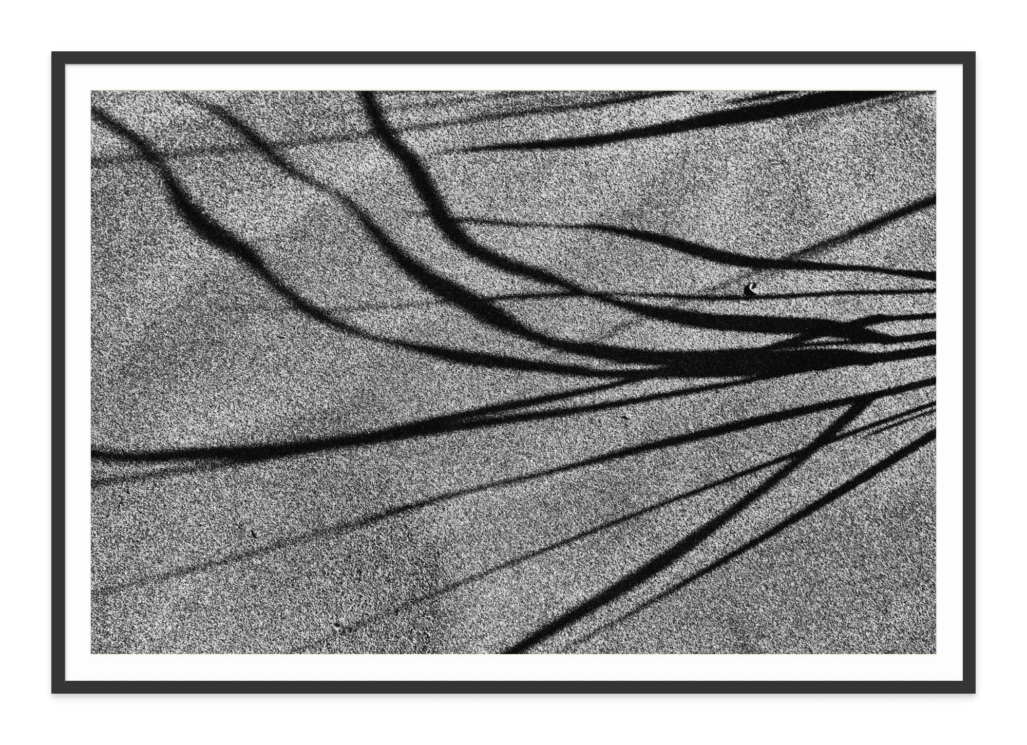  - Jules Frazier Fine Art Photographs