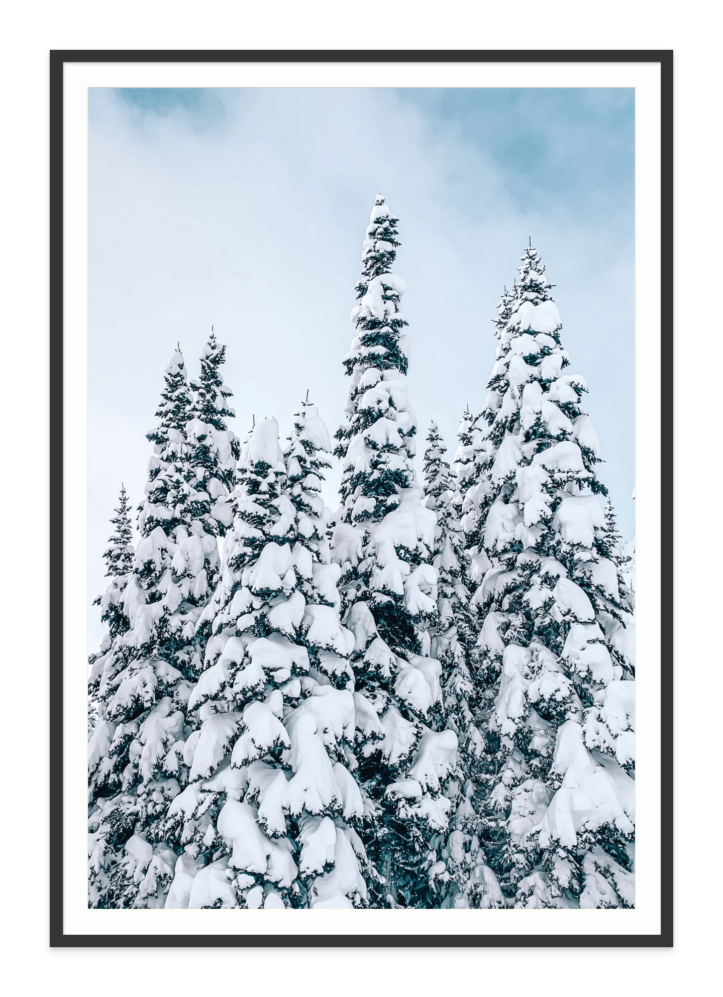  - Jules Frazier Fine Art Photographs