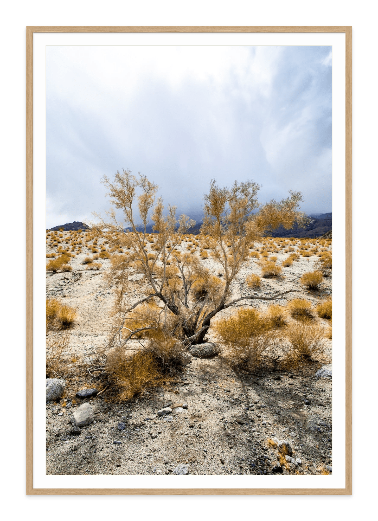  - Jules Frazier Fine Art Photographs