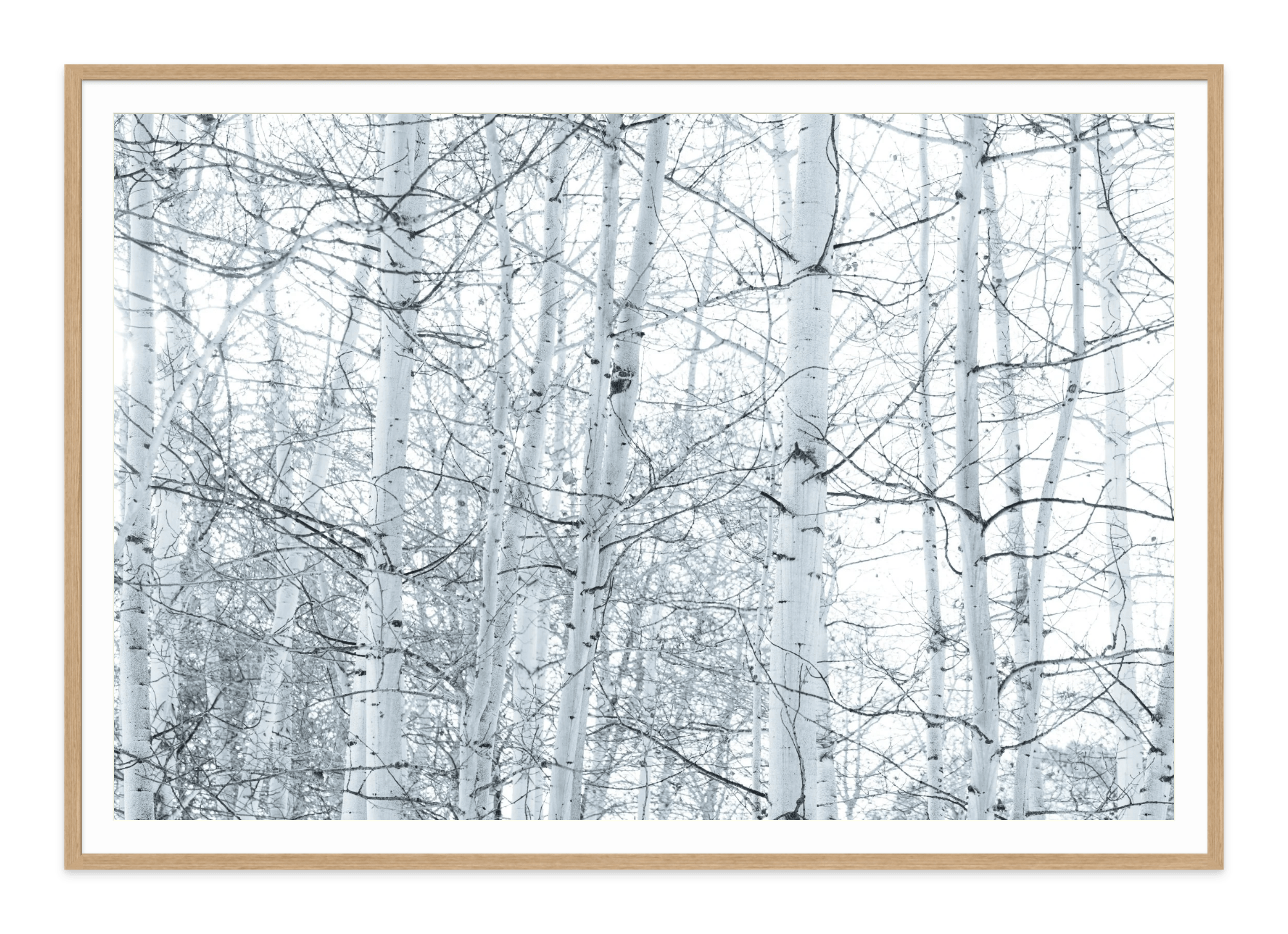  - Jules Frazier Fine Art Photographs
