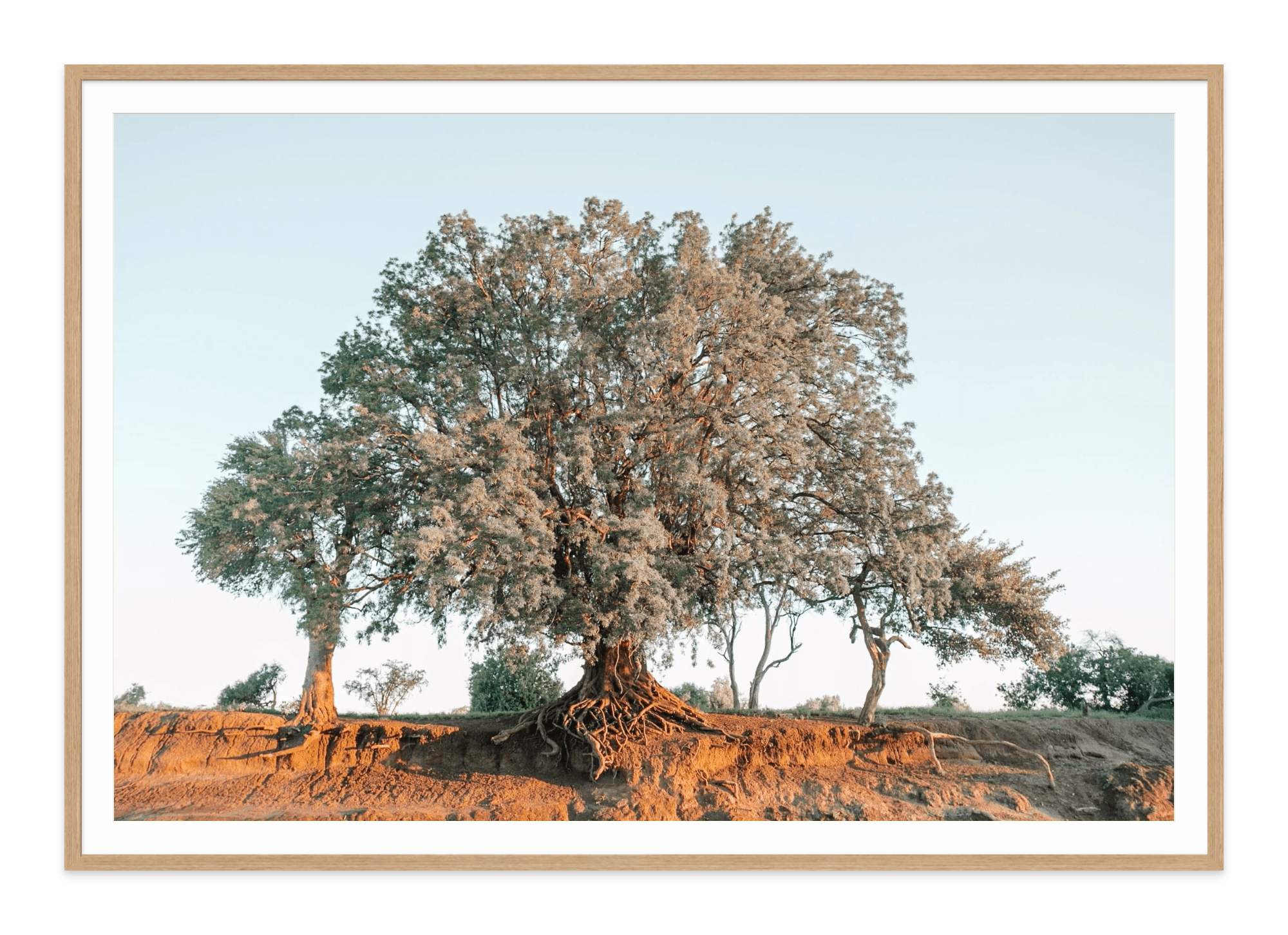  - Jules Frazier Fine Art Photographs