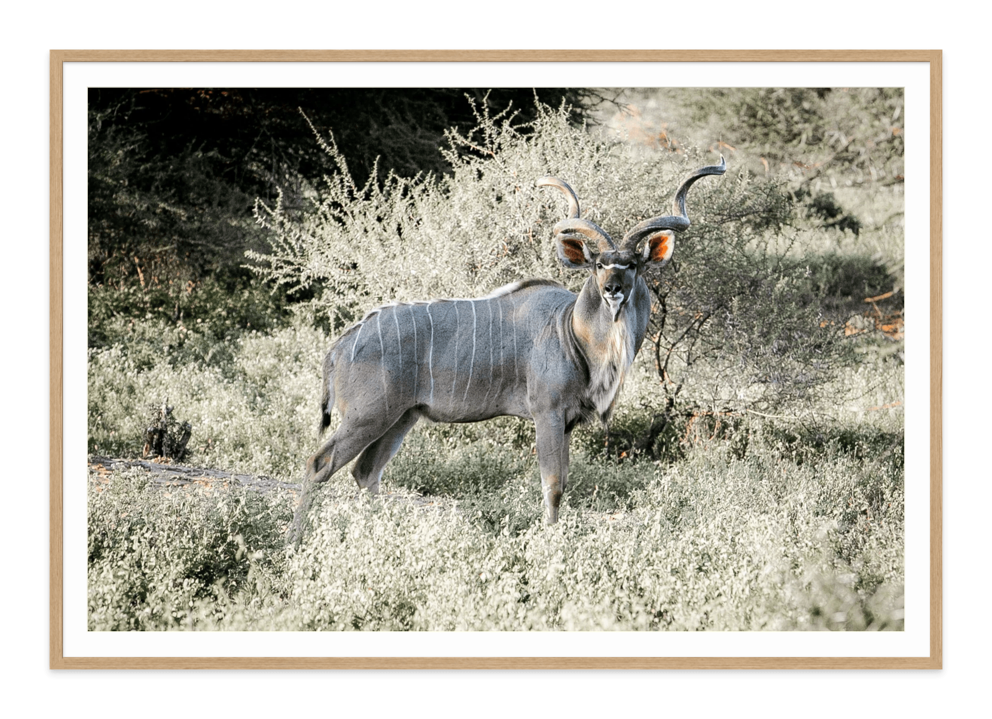  - Jules Frazier Fine Art Photographs