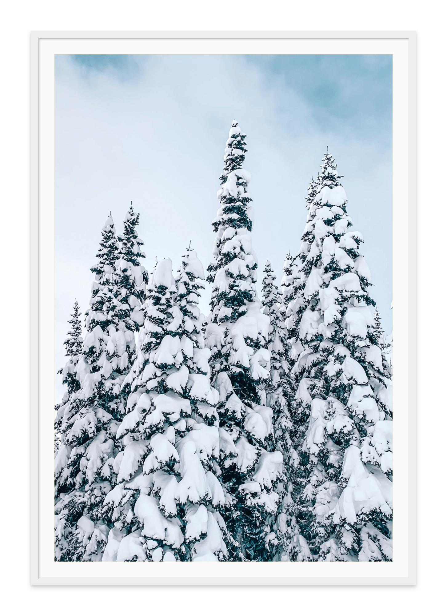  - Jules Frazier Fine Art Photographs