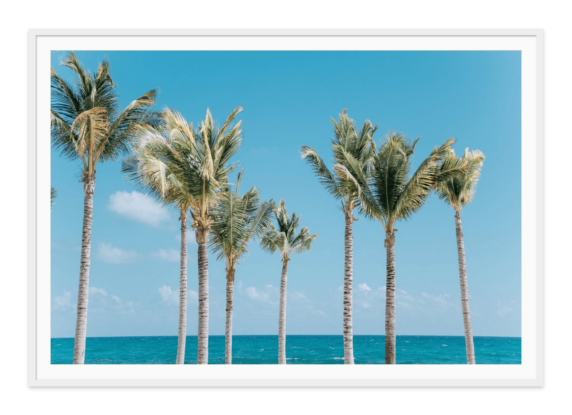  - Jules Frazier Fine Art Photographs