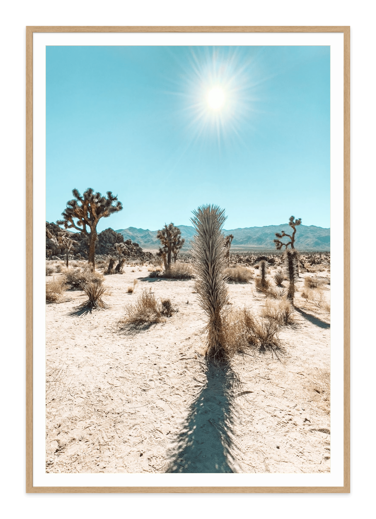  - Jules Frazier Fine Art Photographs