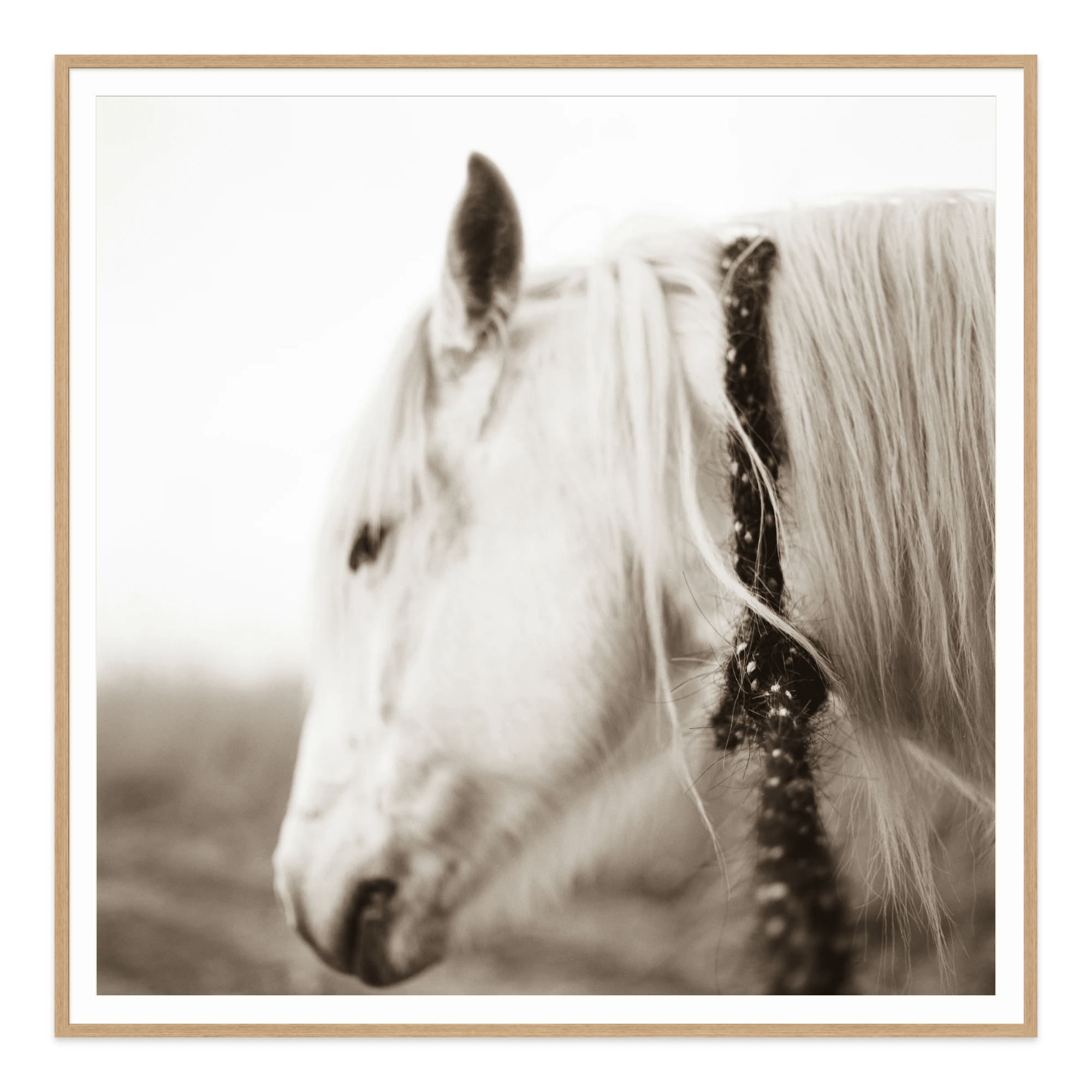  - Jules Frazier Fine Art Photographs