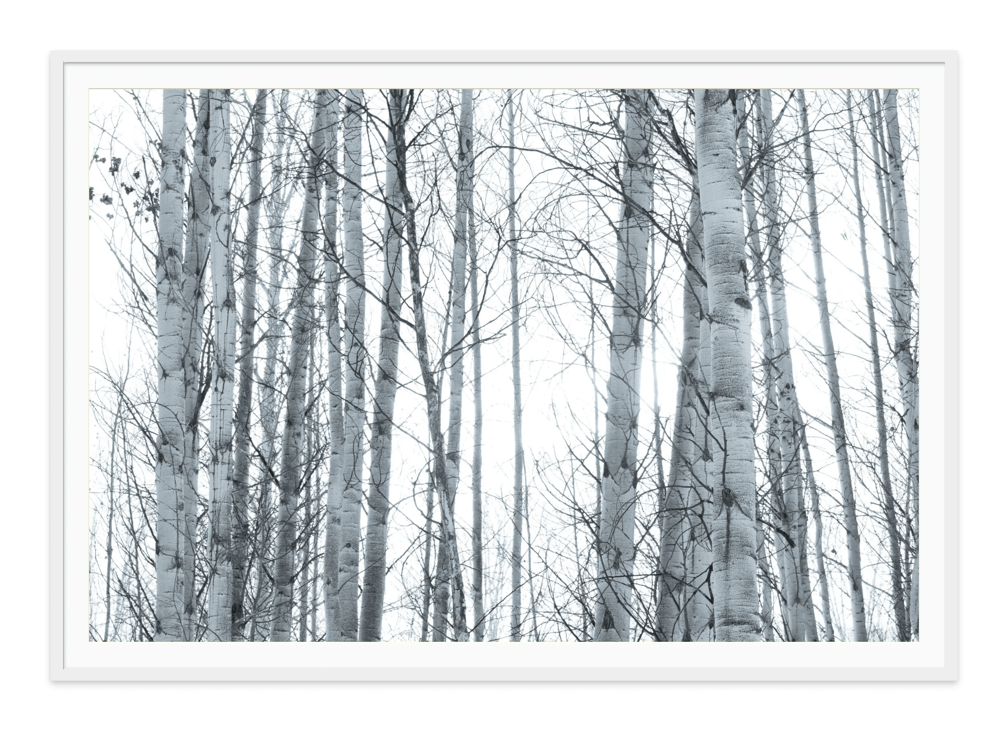  - Jules Frazier Fine Art Photographs