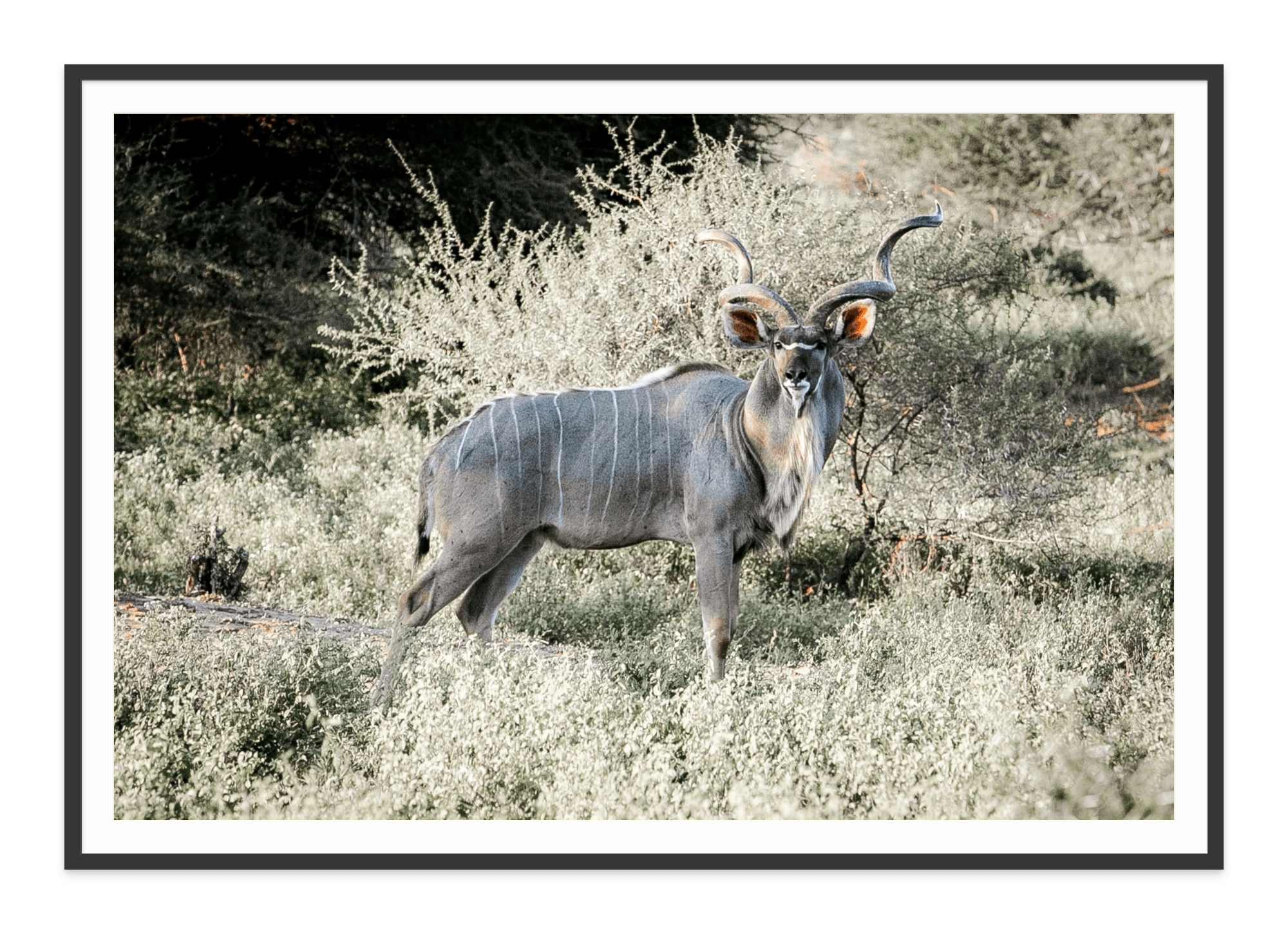  - Jules Frazier Fine Art Photographs