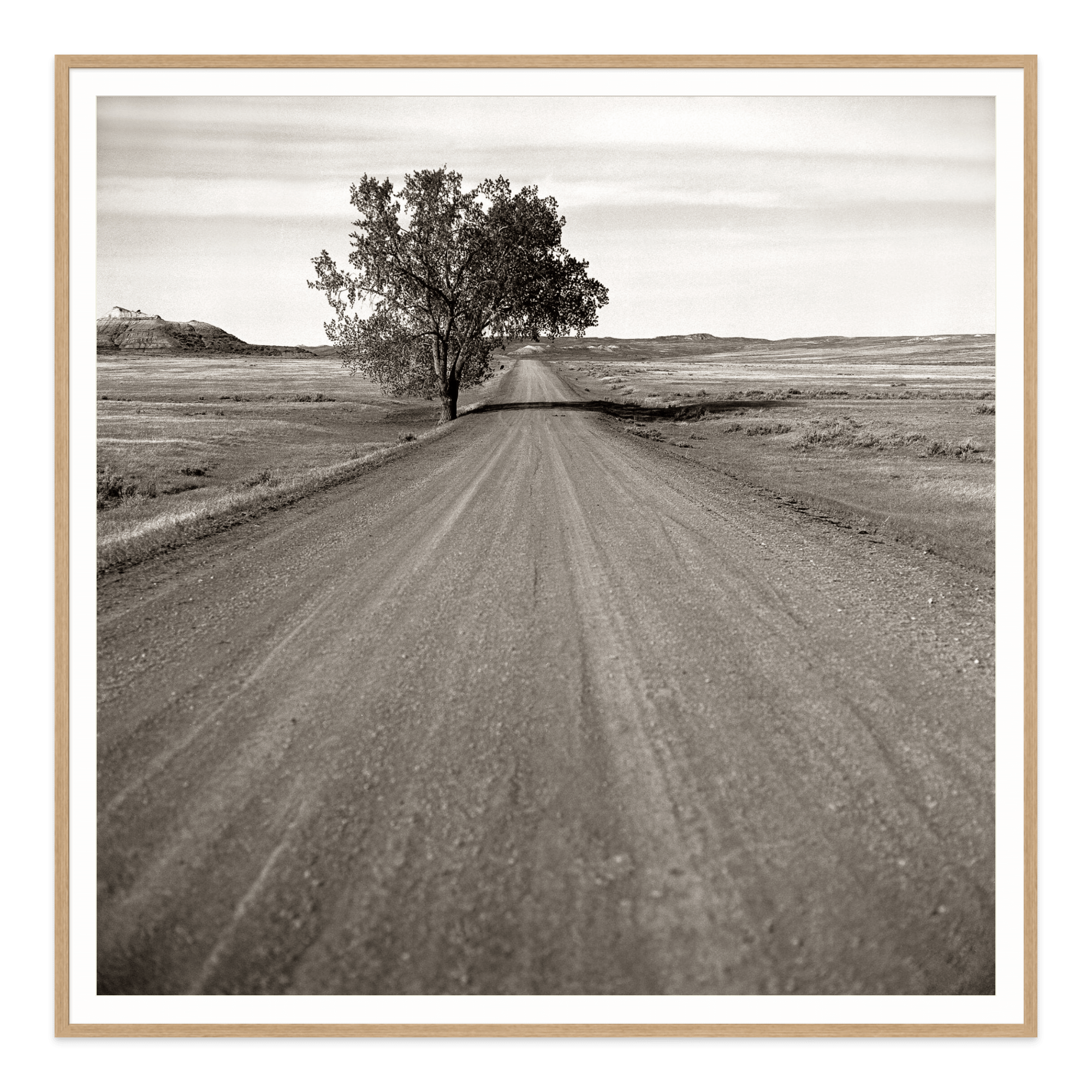  - Jules Frazier Fine Art Photographs