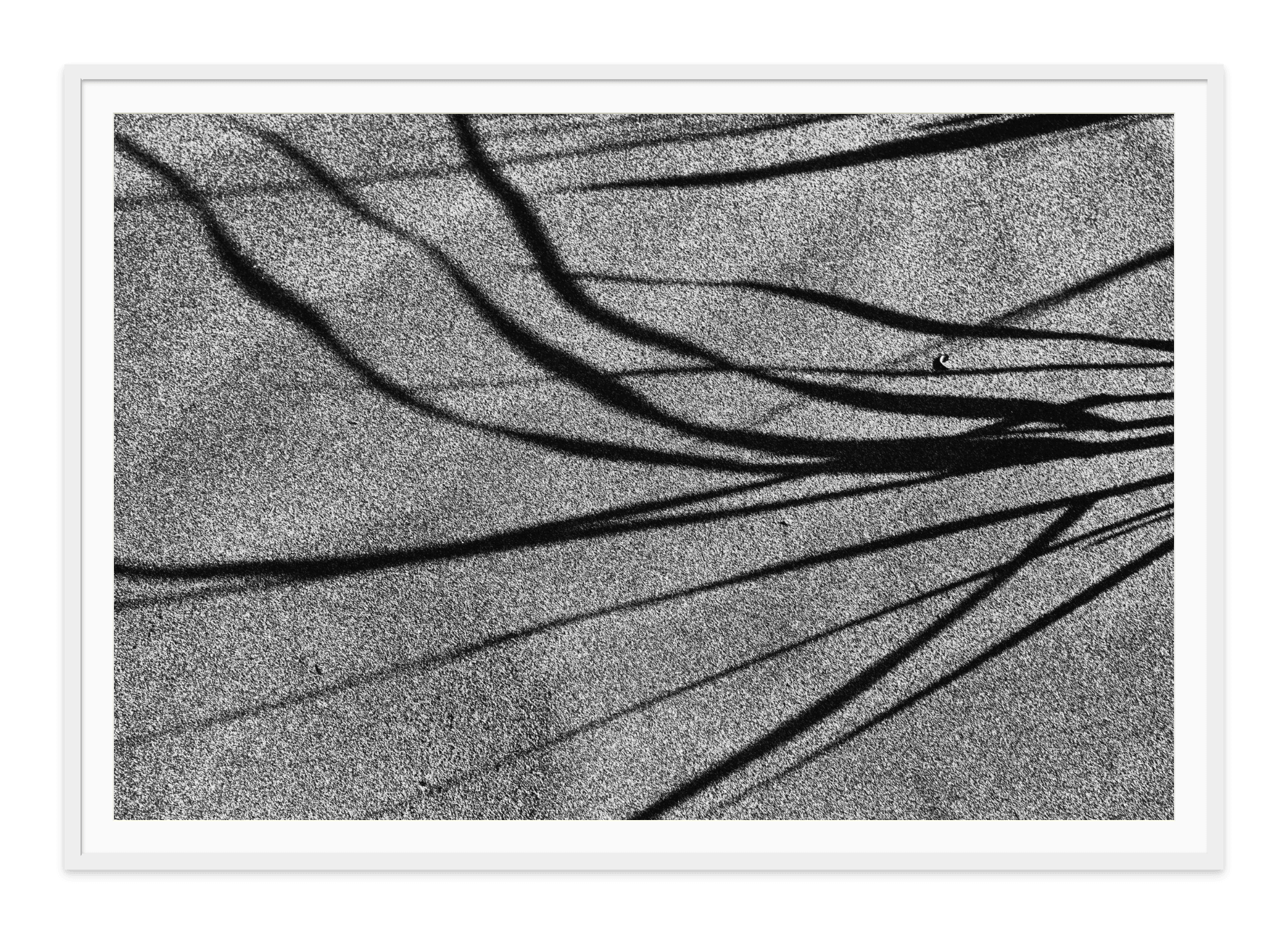  - Jules Frazier Fine Art Photographs