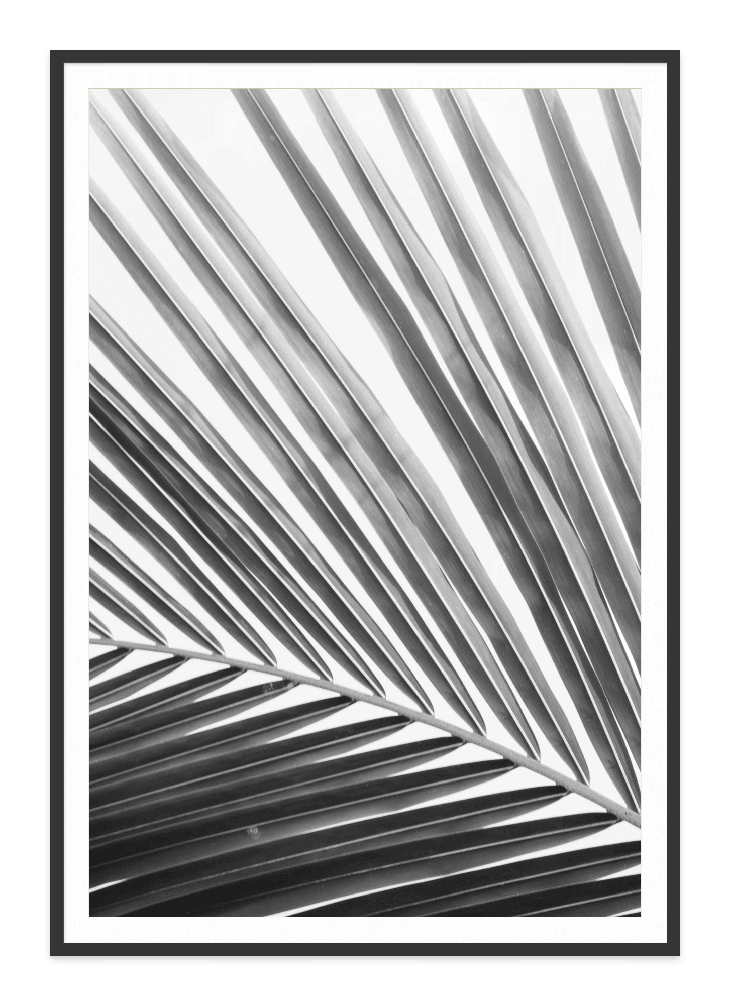  - Jules Frazier Fine Art Photographs