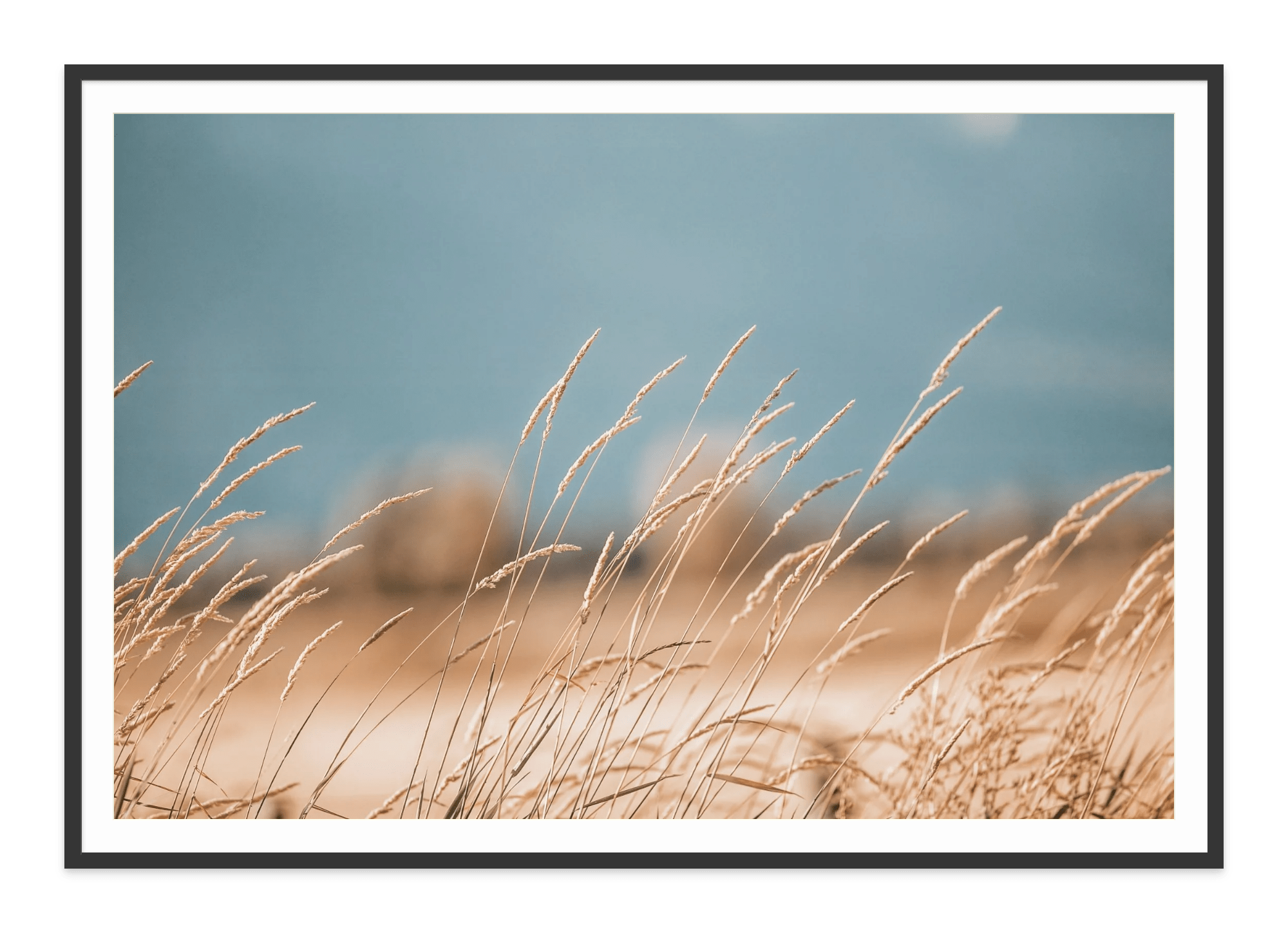  - Jules Frazier Fine Art Photographs