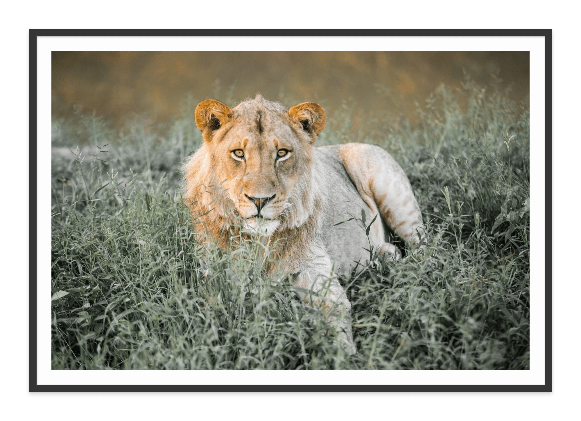 - Jules Frazier Fine Art Photographs