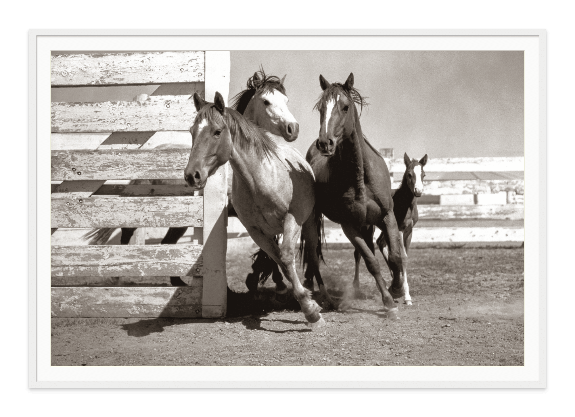  - Jules Frazier Fine Art Photographs