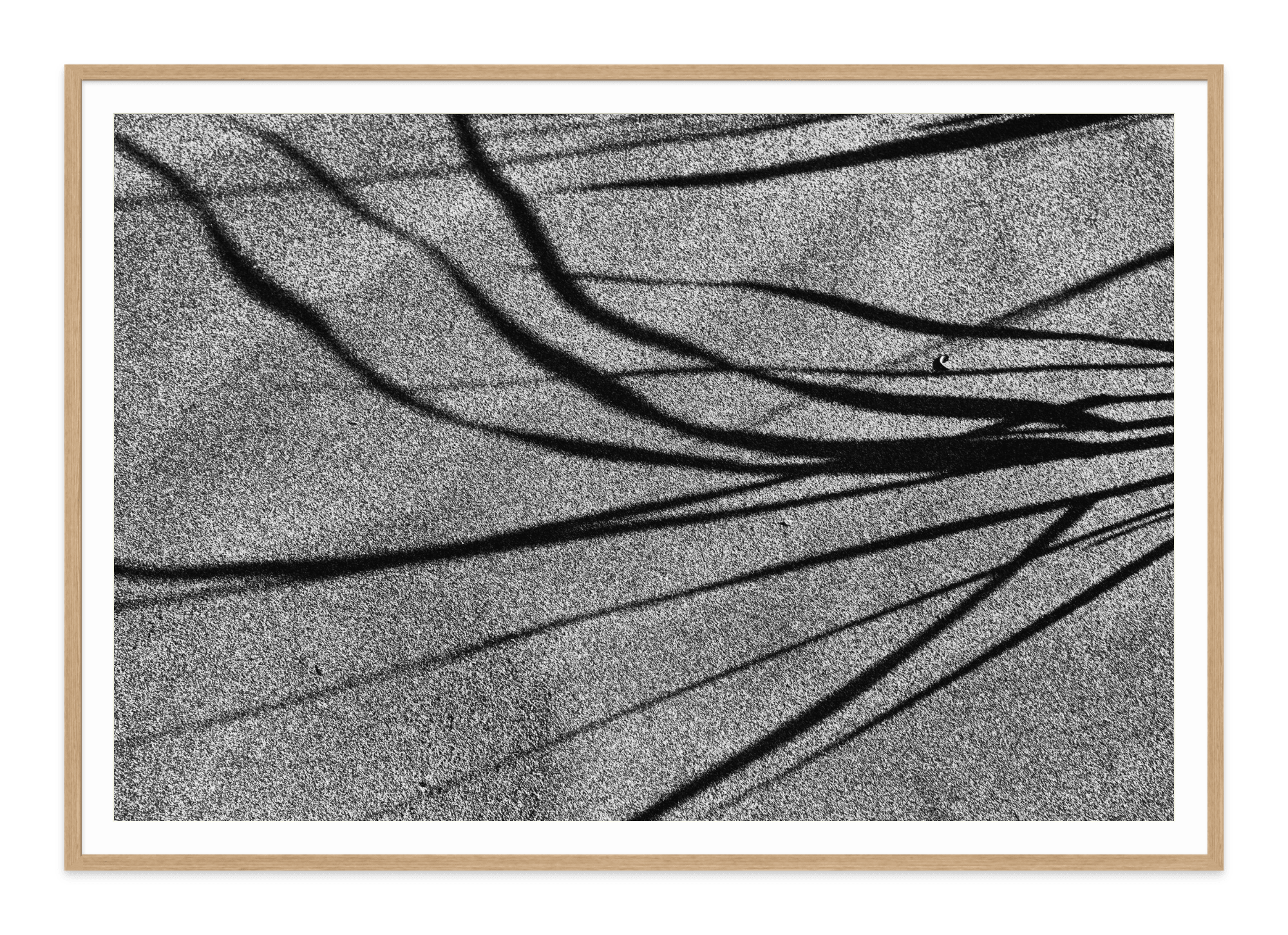  - Jules Frazier Fine Art Photographs