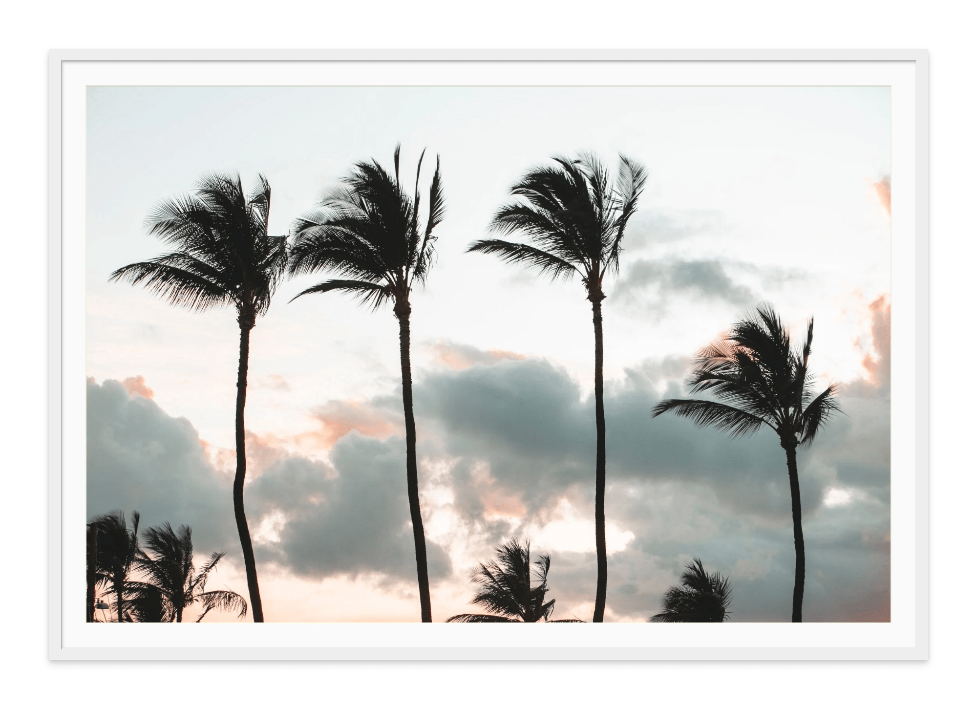  - Jules Frazier Fine Art Photographs