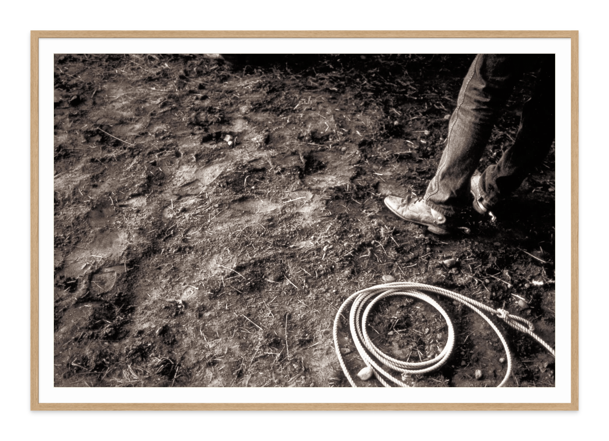  - Jules Frazier Fine Art Photographs