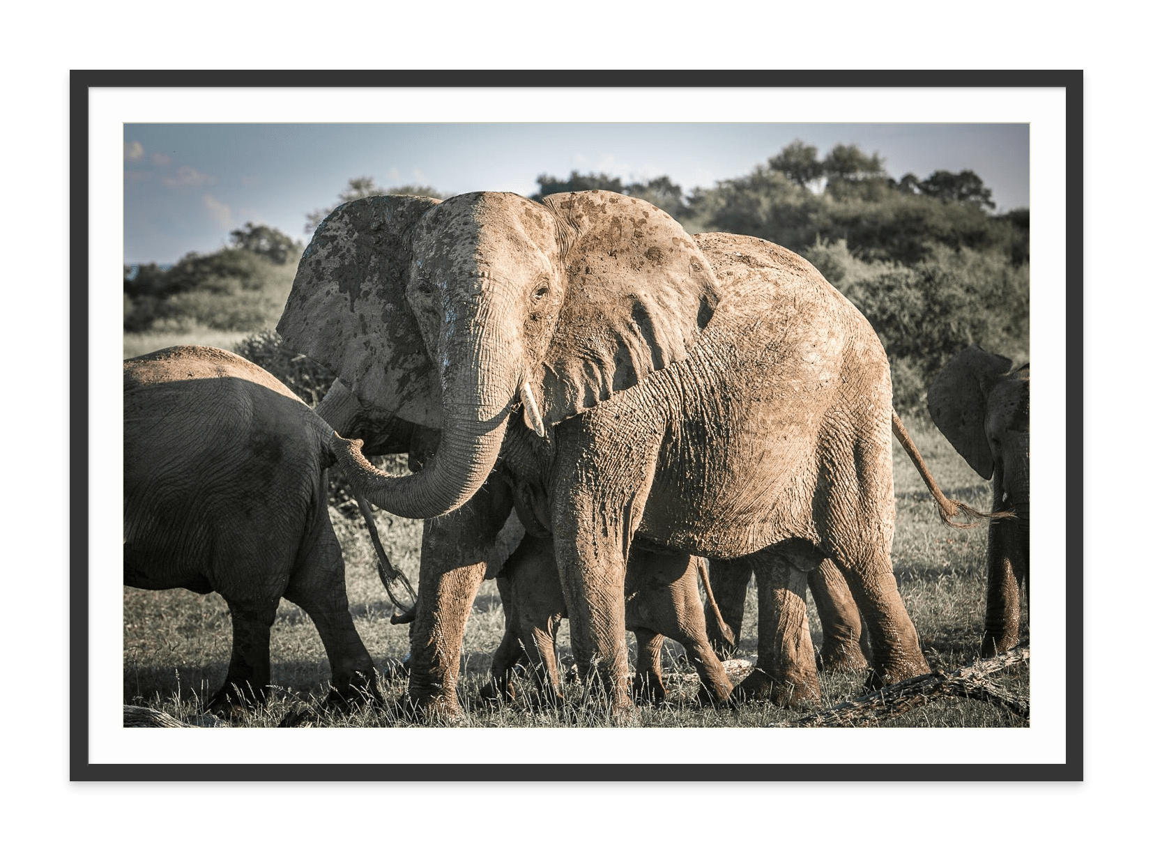  - Jules Frazier Fine Art Photographs