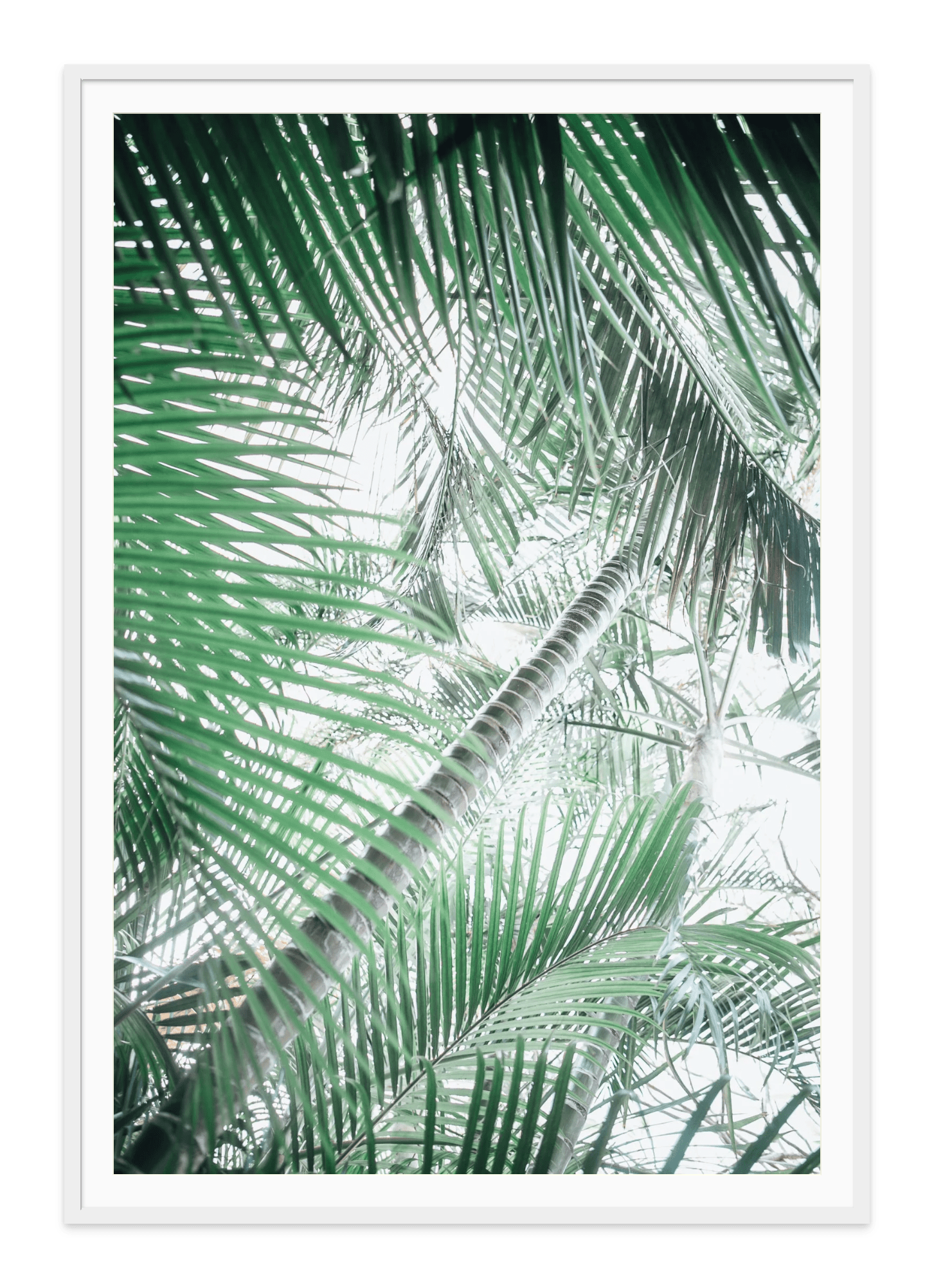  - Jules Frazier Fine Art Photographs