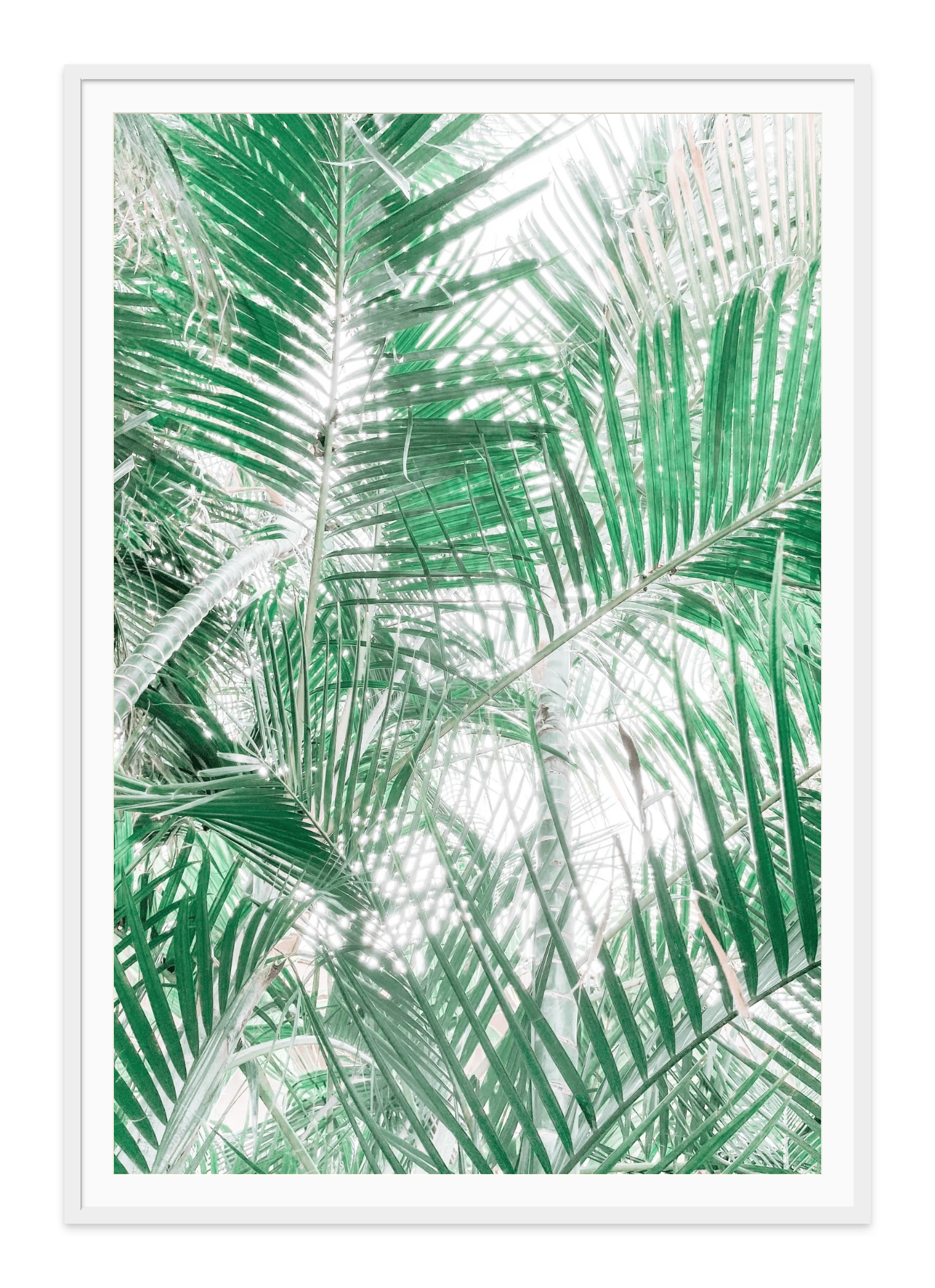  - Jules Frazier Fine Art Photographs