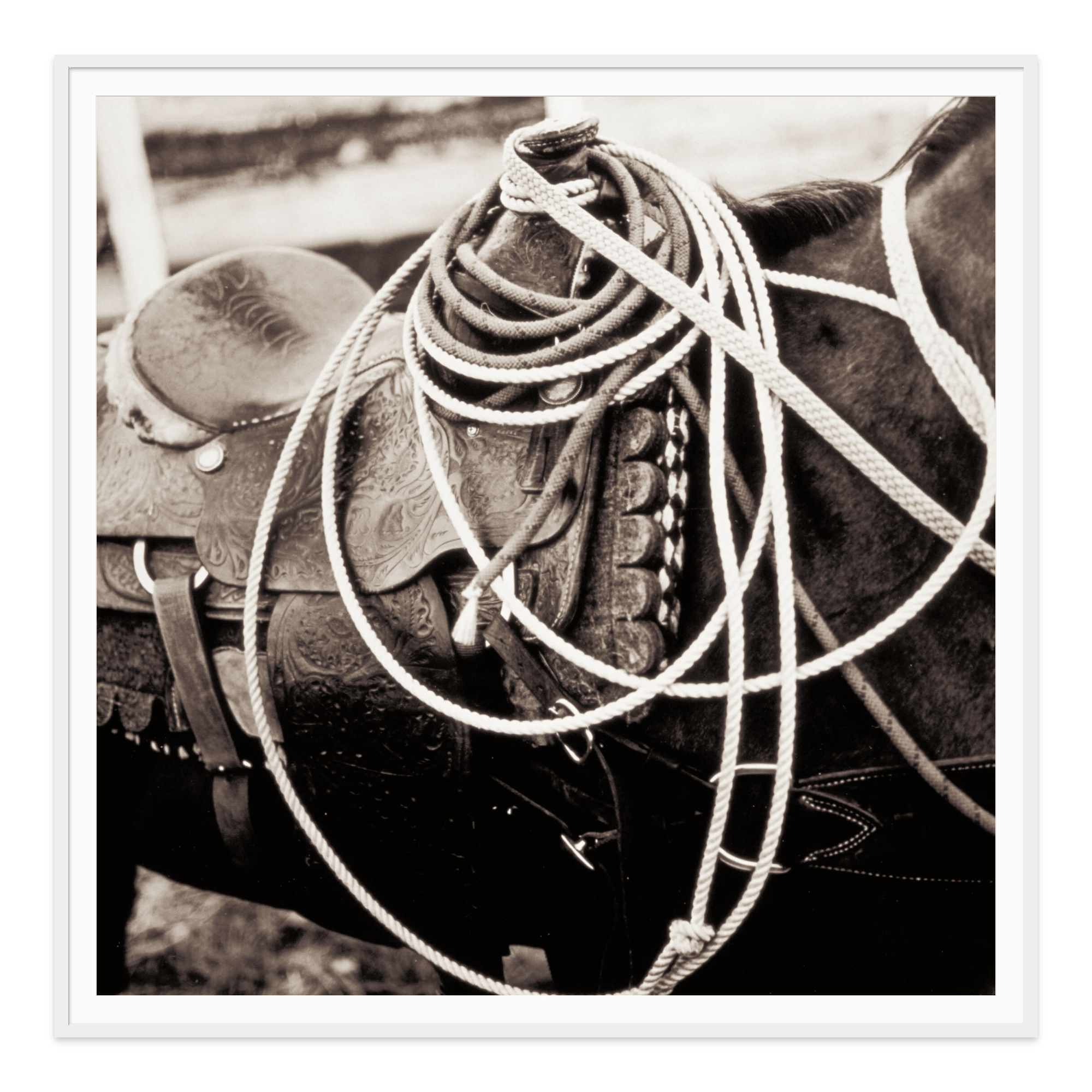  - Jules Frazier Fine Art Photographs