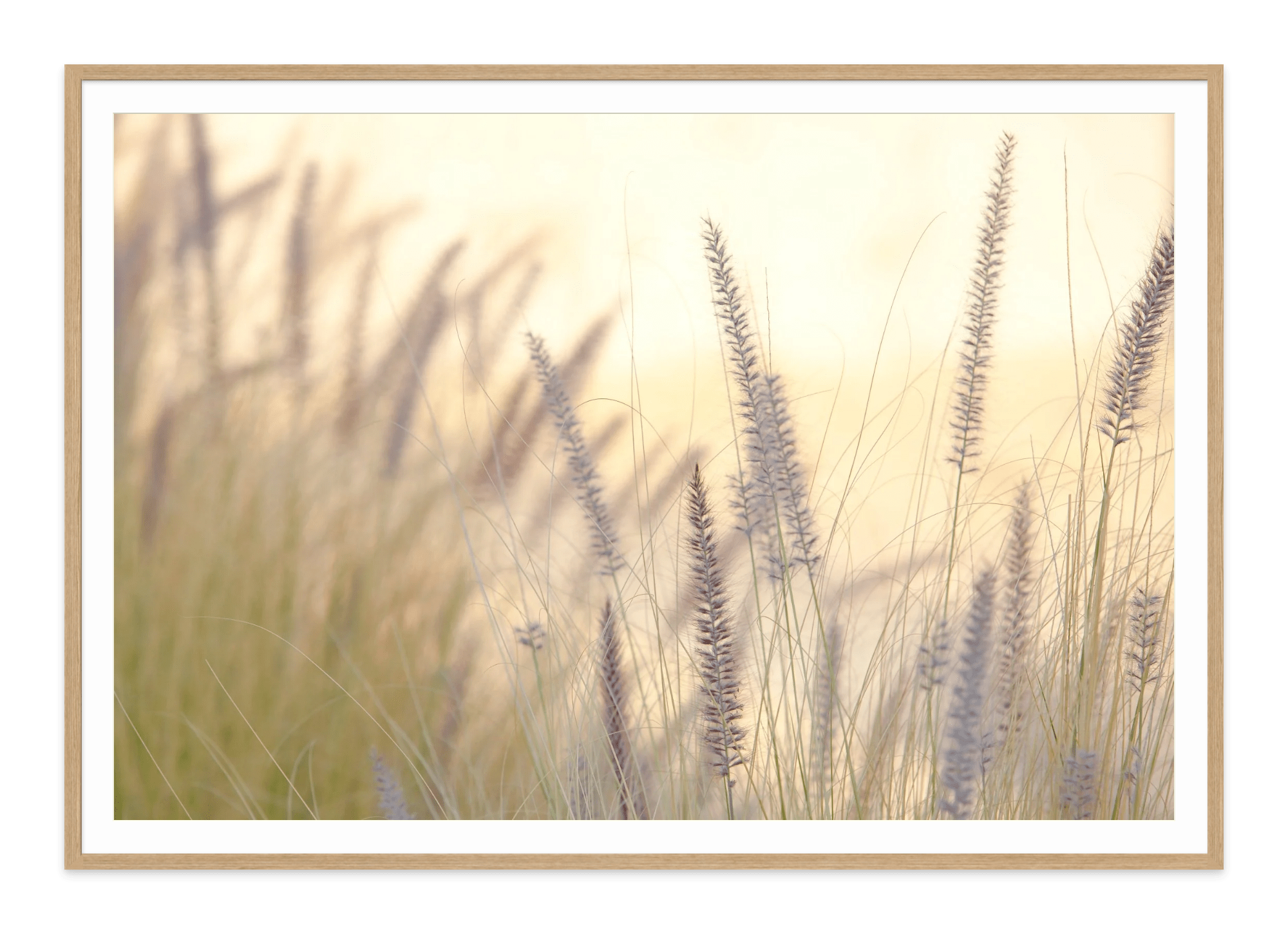  - Jules Frazier Fine Art Photographs