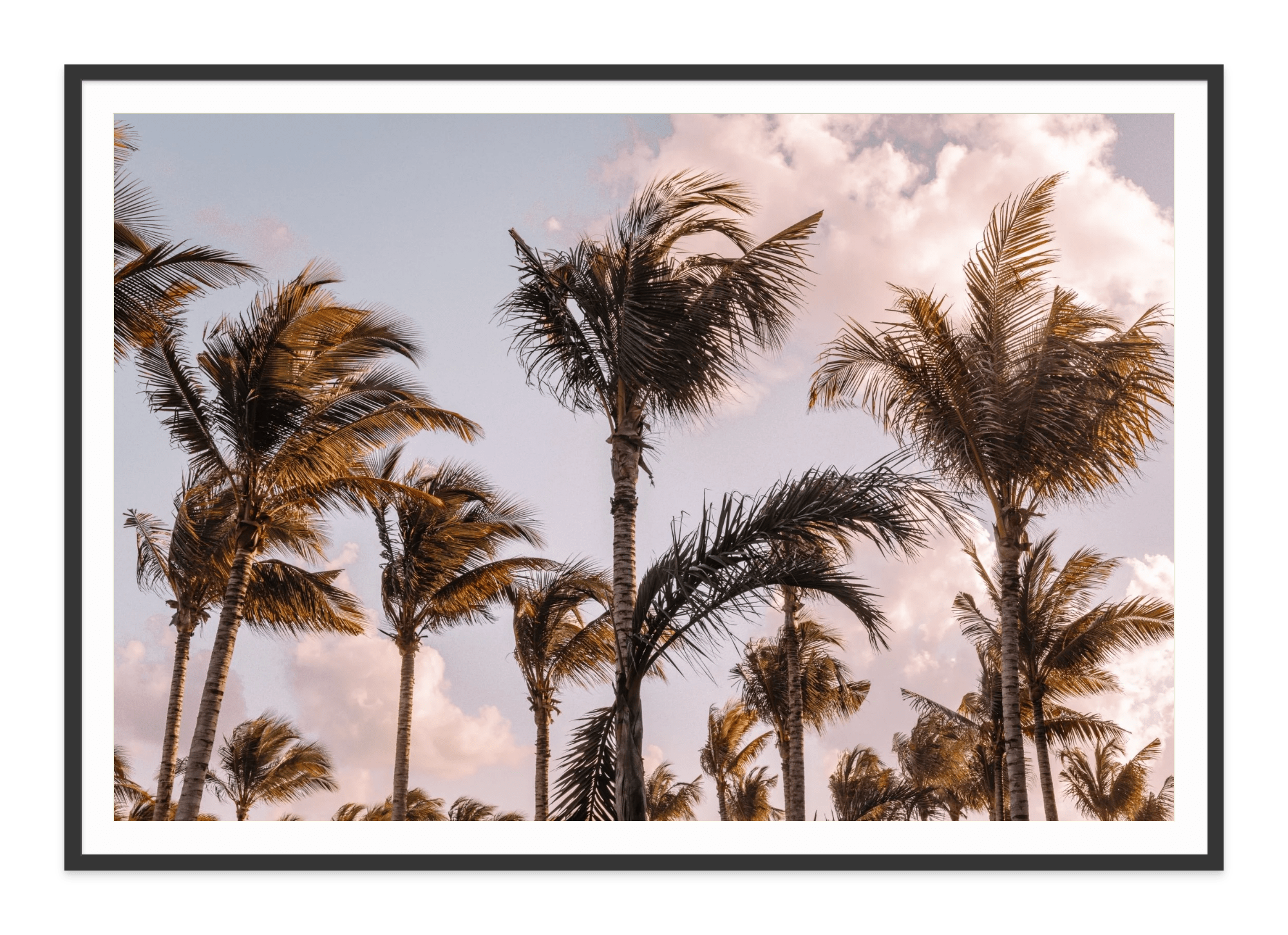  - Jules Frazier Fine Art Photographs