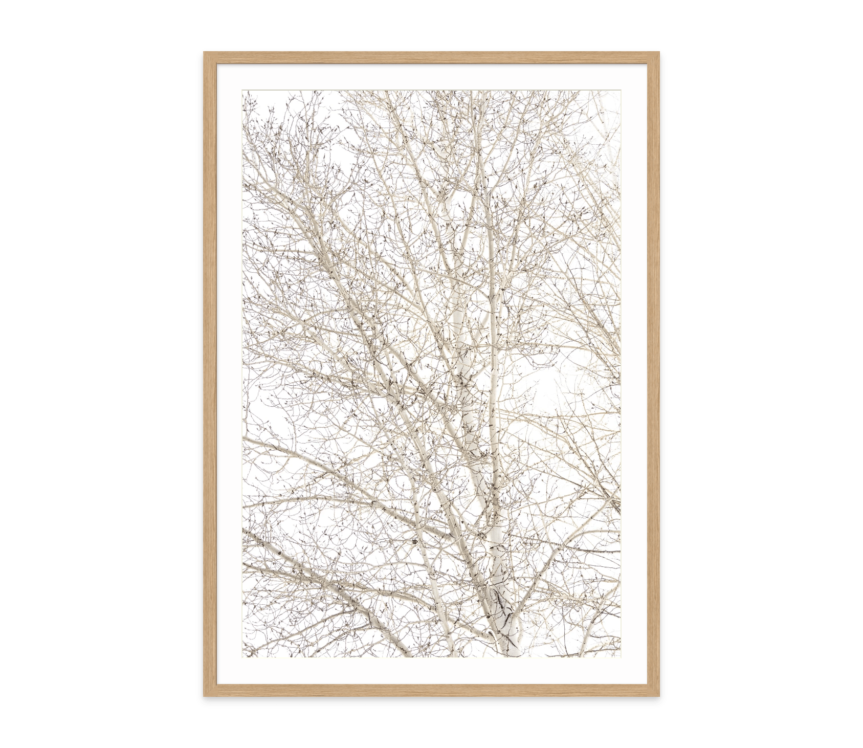  - Jules Frazier Fine Art Photographs