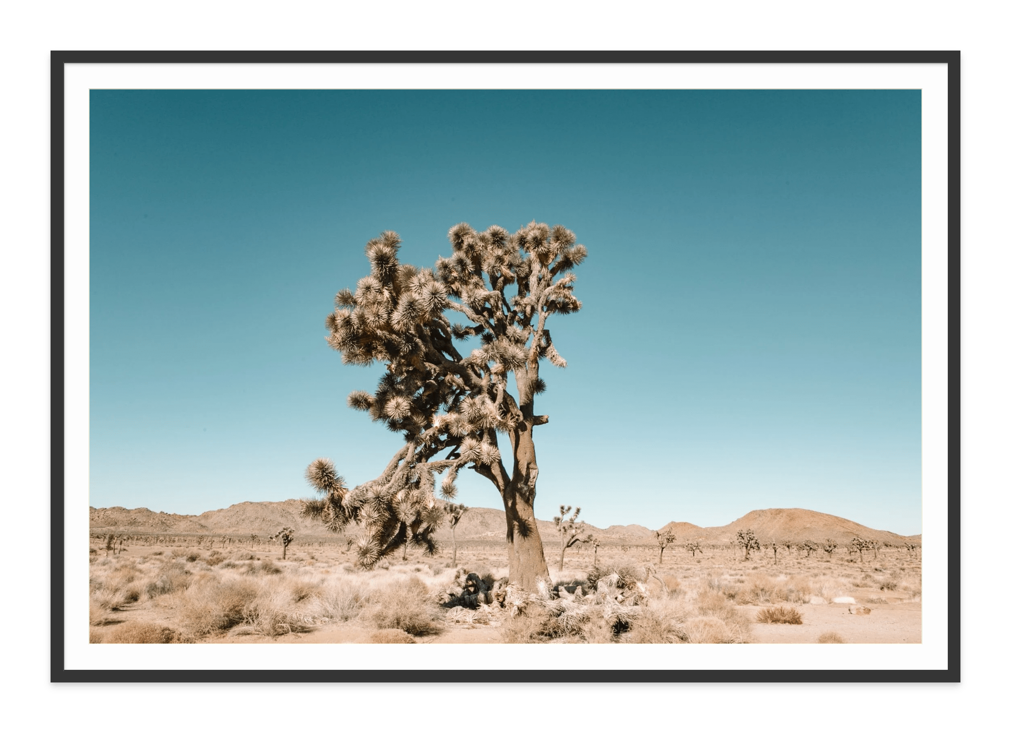  - Jules Frazier Fine Art Photographs