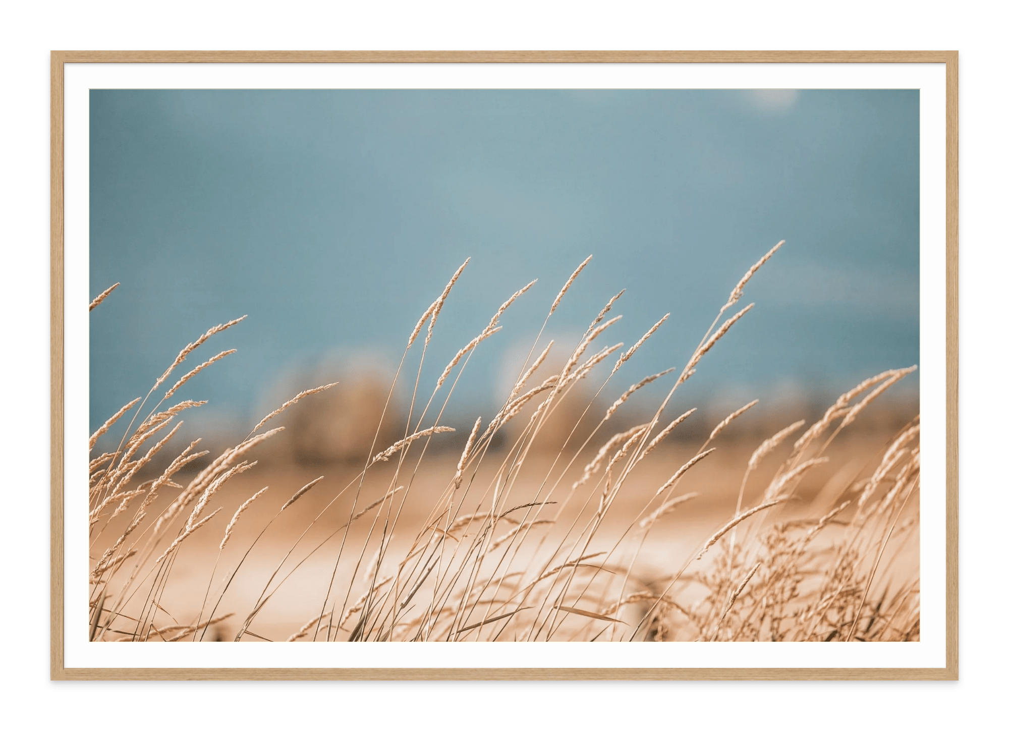  - Jules Frazier Fine Art Photographs