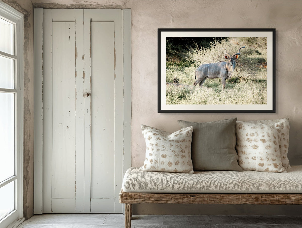 Kudu Antelope South Africa fine art print in a black frame above a bench, by Jules Frazier