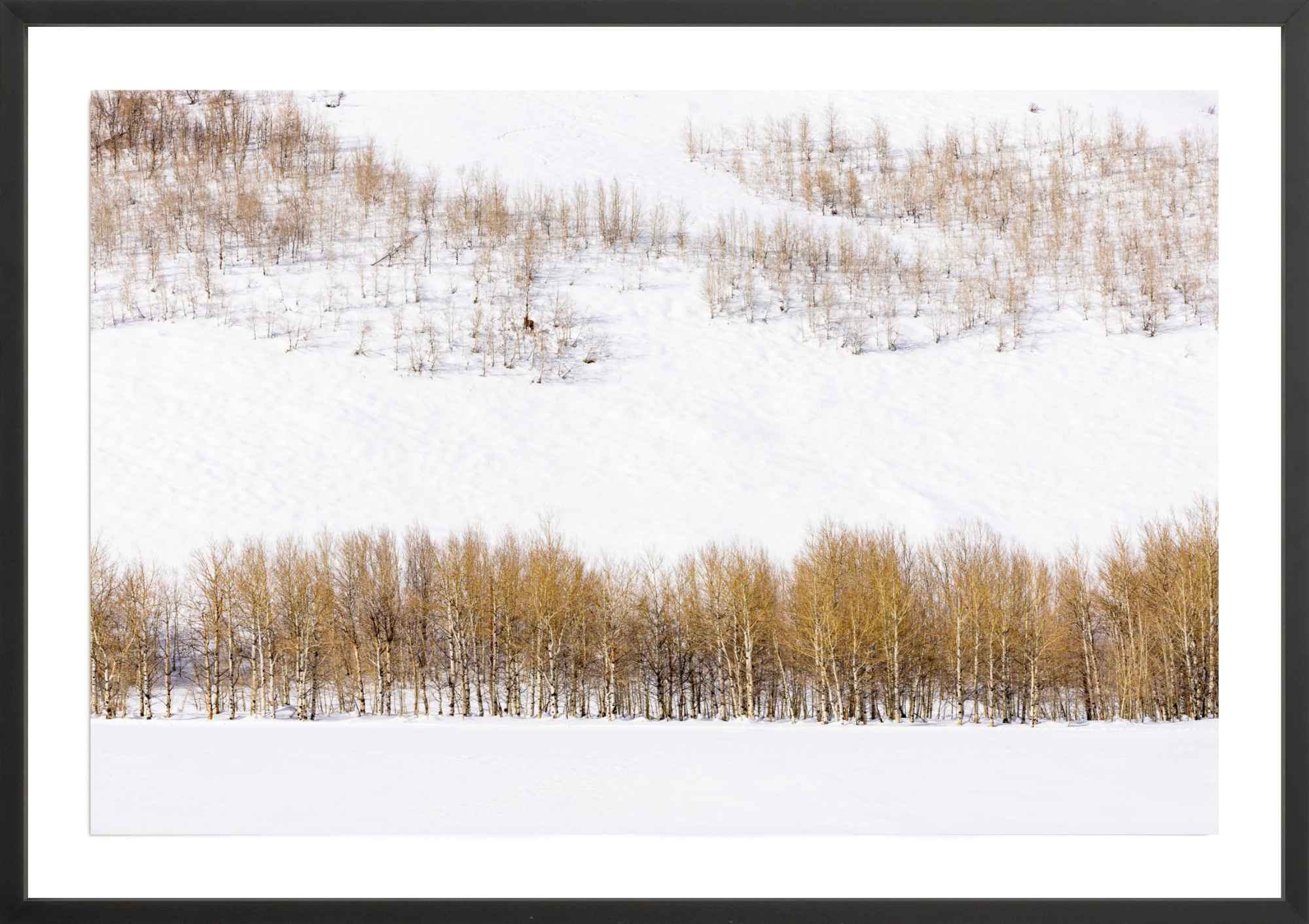 Alone Time, Jules Frazier Fine Art Photograph