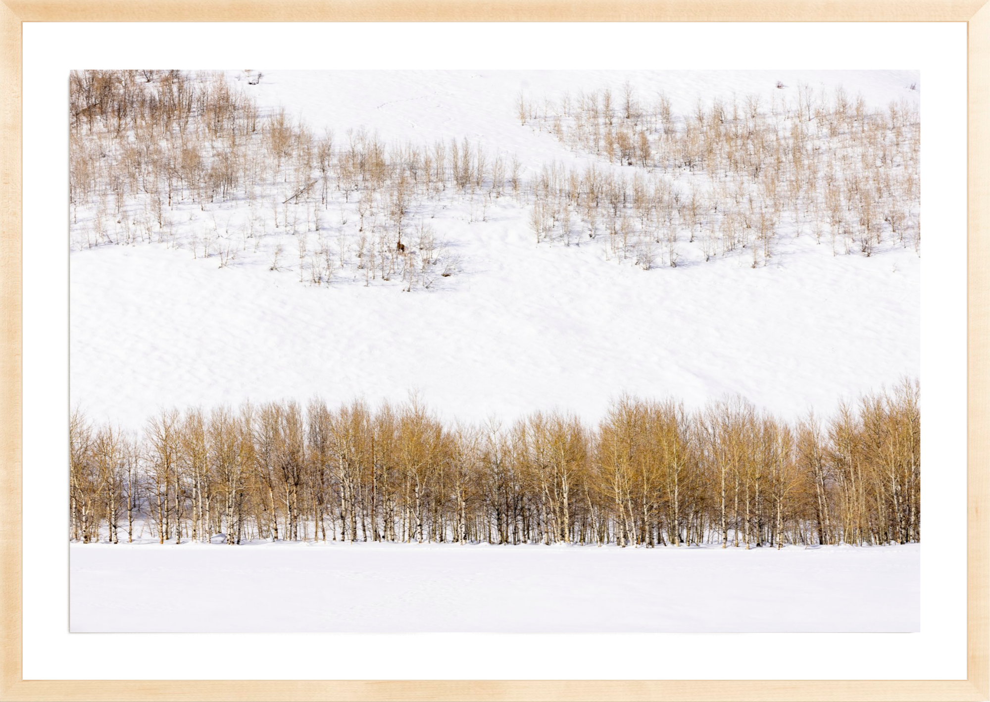 Alone Time, Jules Frazier Fine Art Photograph